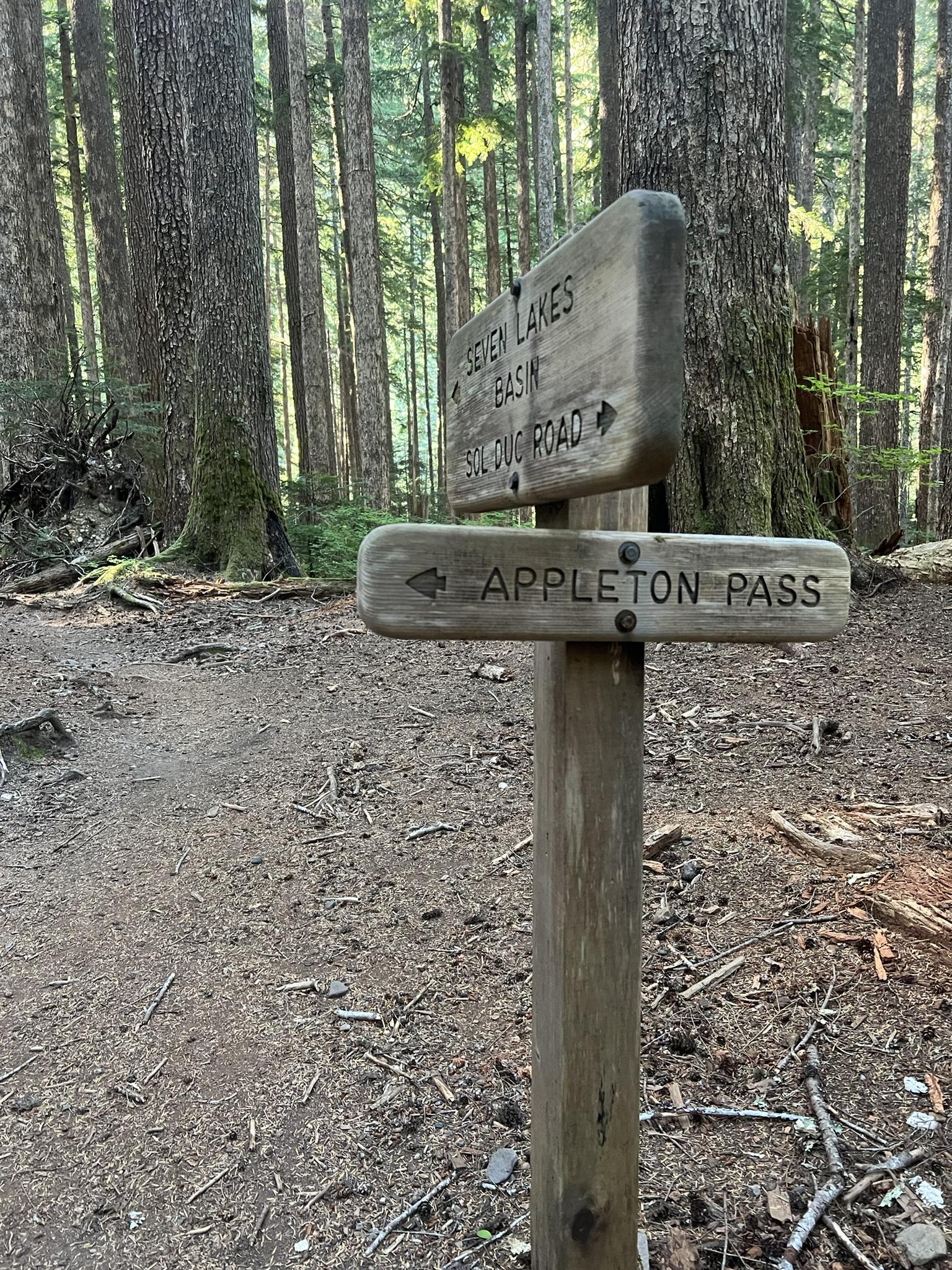 Wooden trail signpost on a dirt path in a sun-dappled forest.