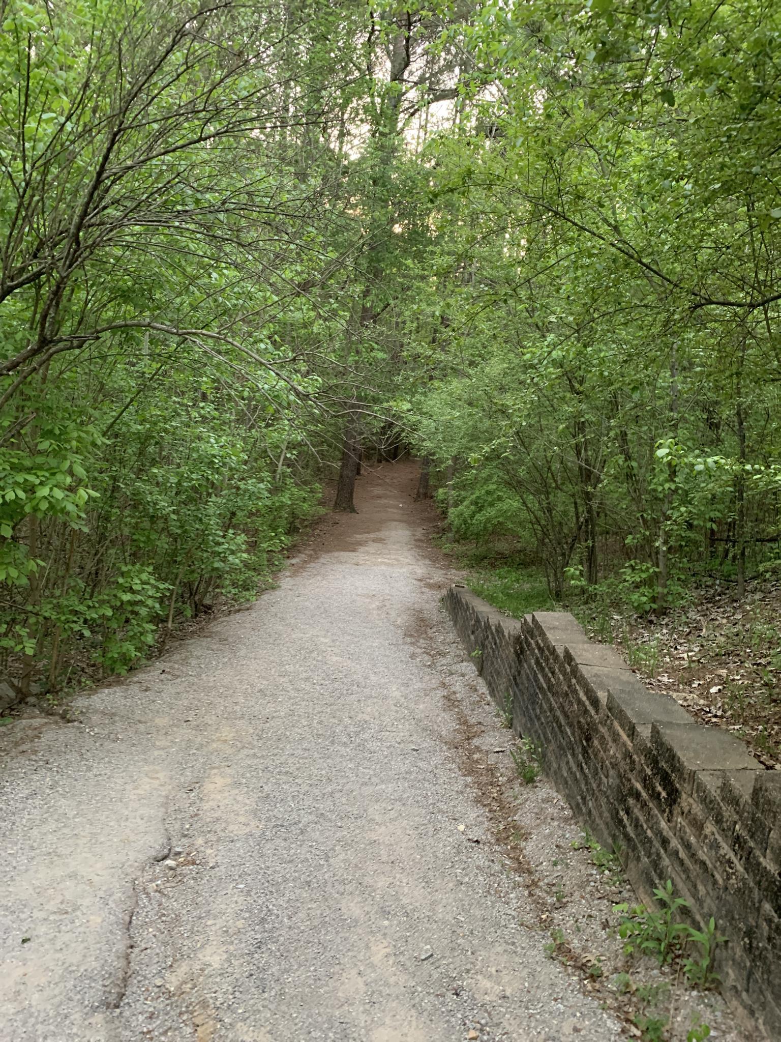 A gravel path leads through a lush green forest with a stone wall.