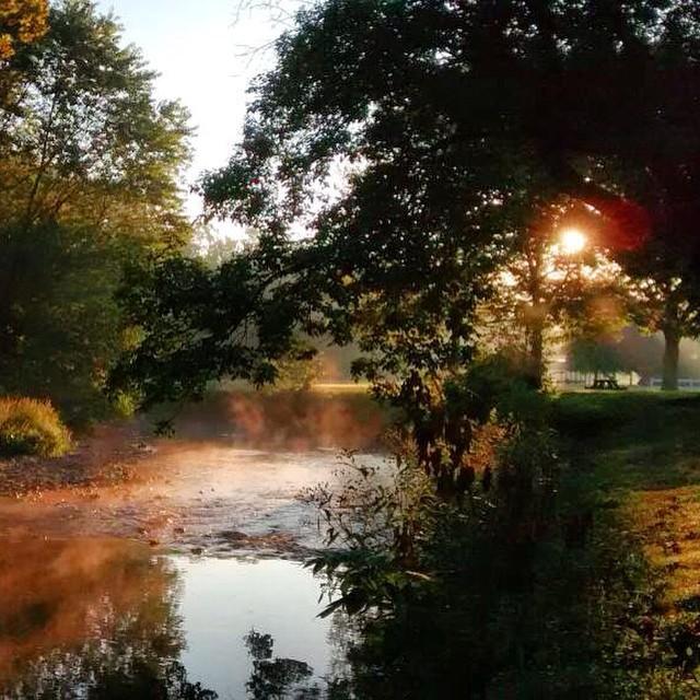 Misty river at sunrise, warm light filtering through green trees.