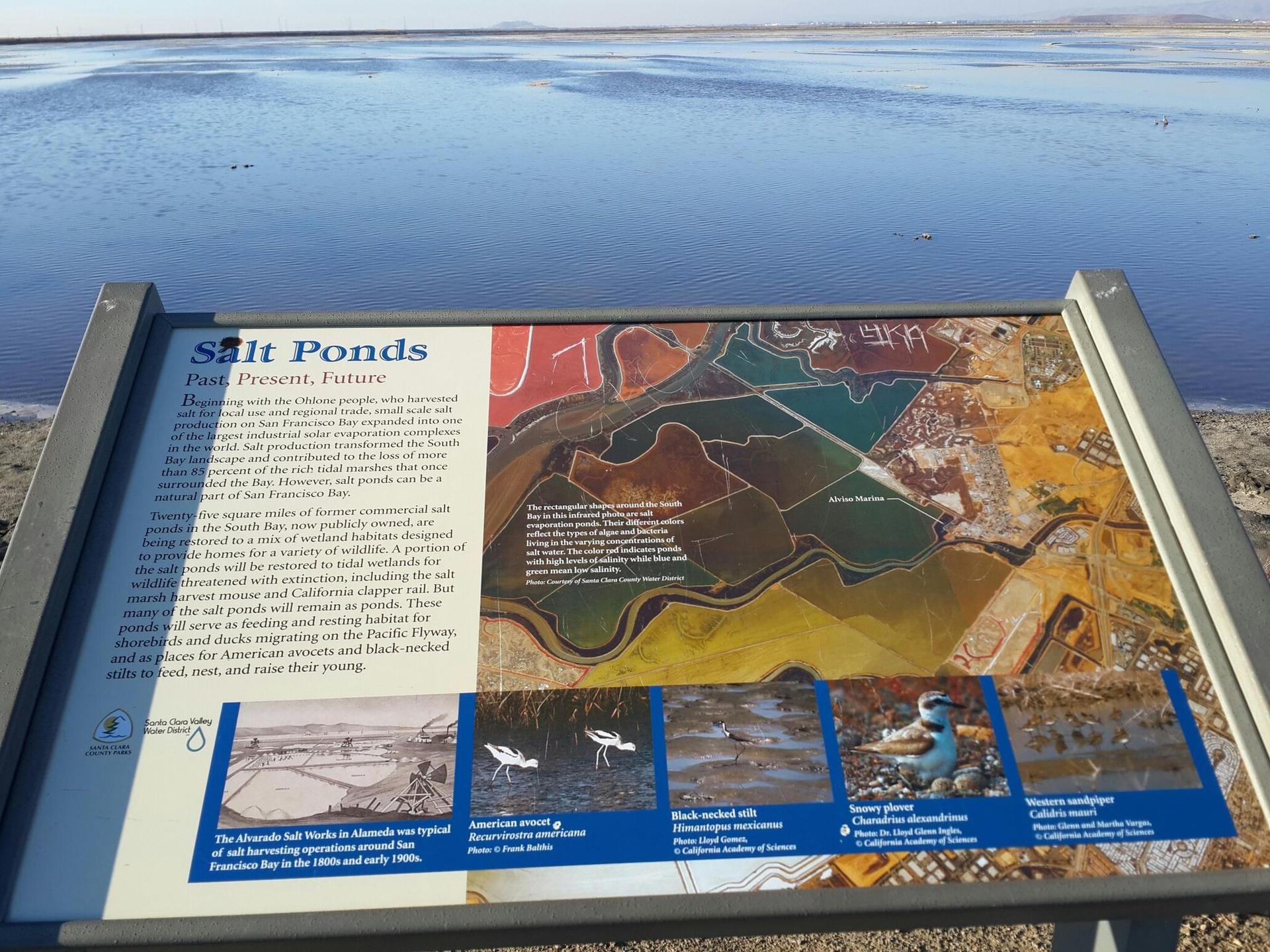 Informational sign about salt ponds with a vast body of water behind it.