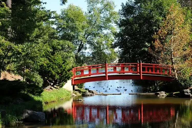 A red arched bridge reflects in a pond with ducks, surrounded by green trees.