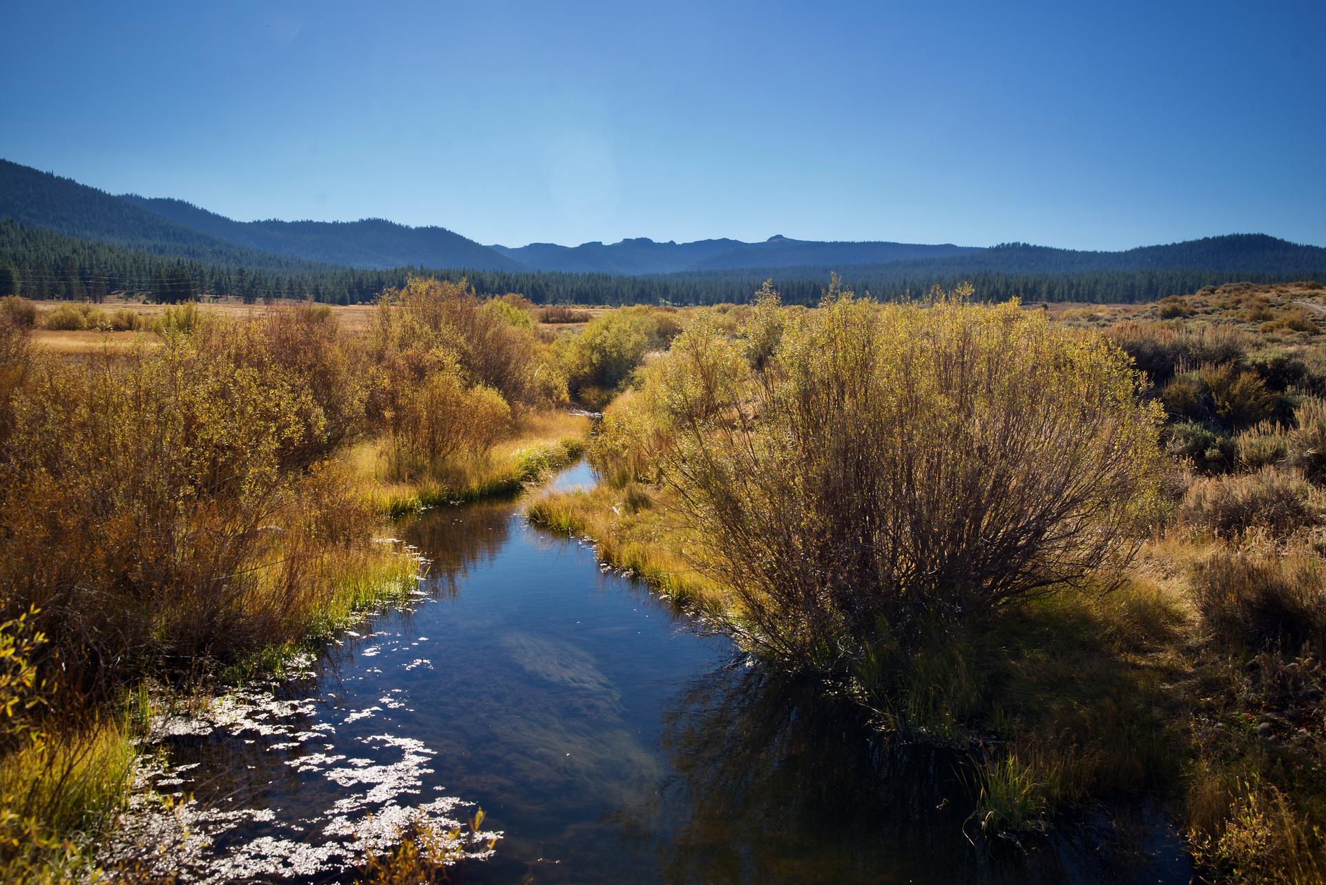 A winding river flows through golden marshland under a clear blue sky.