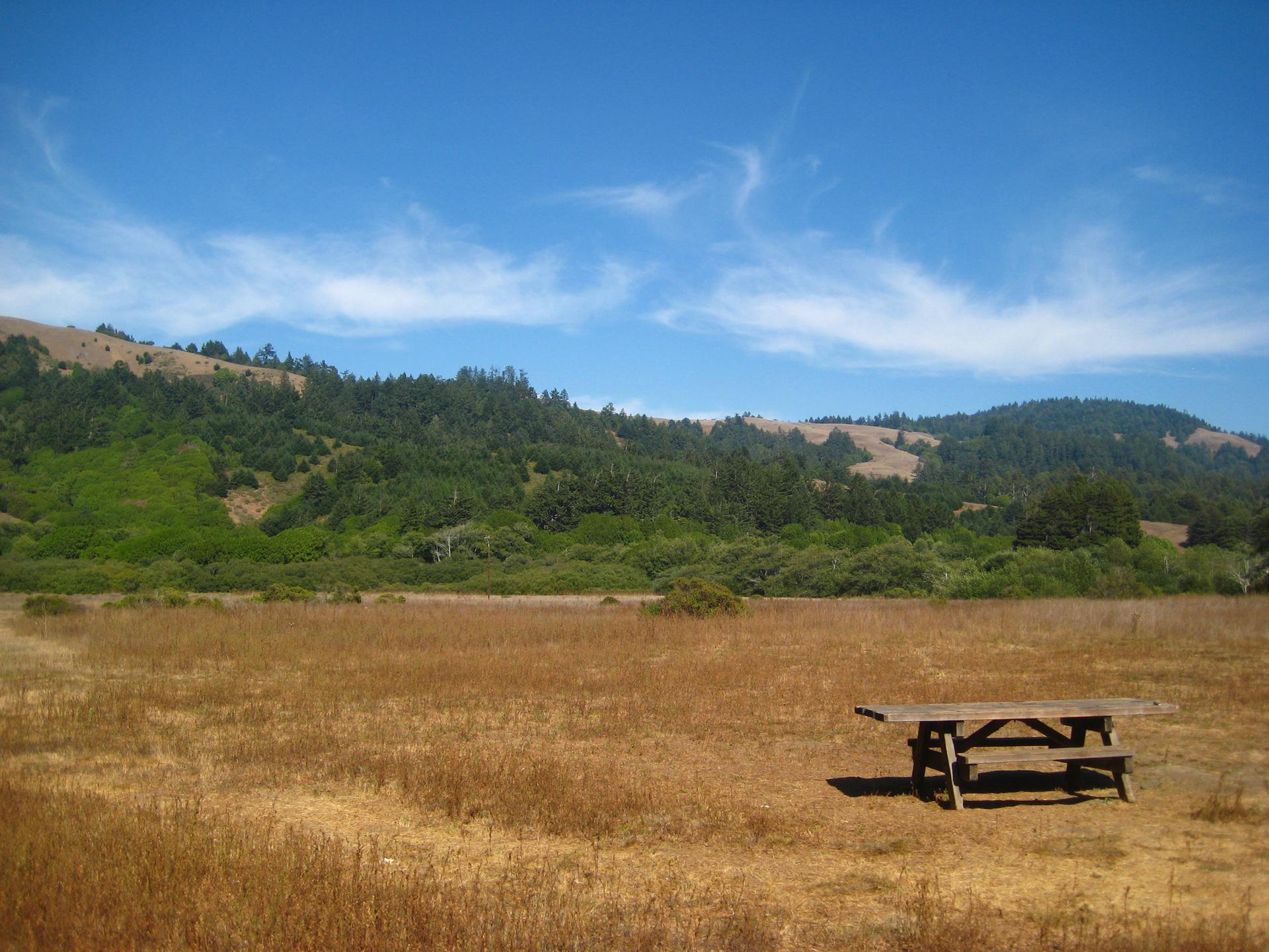 A wooden picnic table sits in a dry grassy field with forested hills.