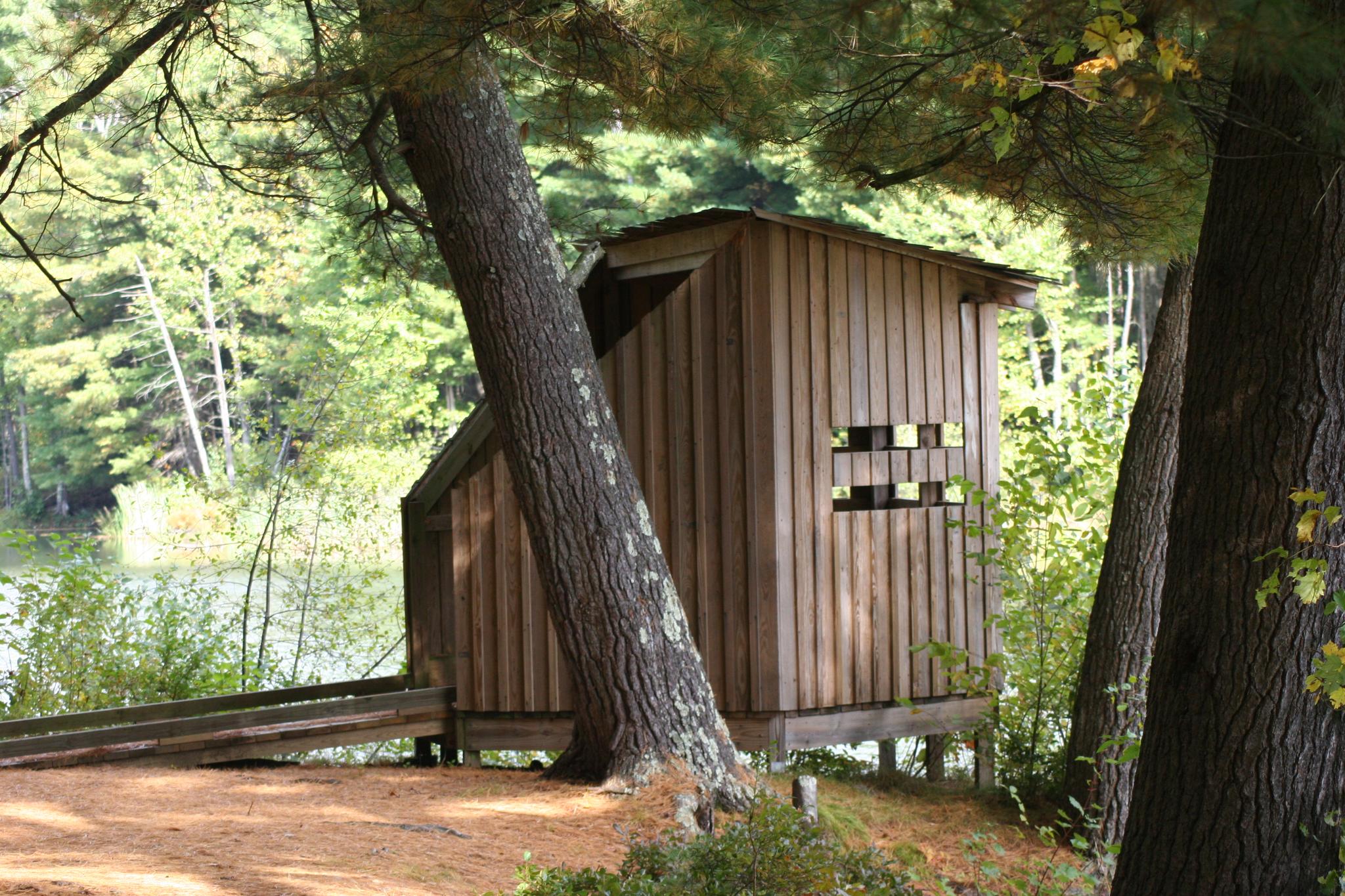 Rustic wooden shelter nestled between trees by water under dappled sunlight.