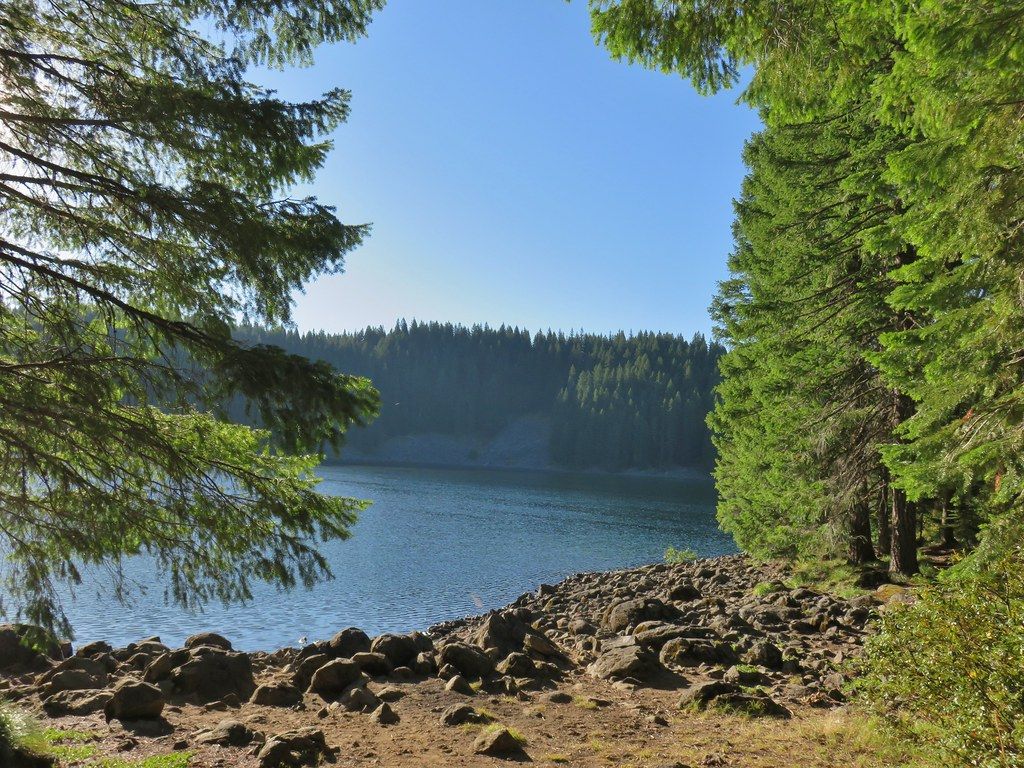Rocky shore by a calm lake, framed by sunlit evergreen trees. - Erma Bell Lakes Trail