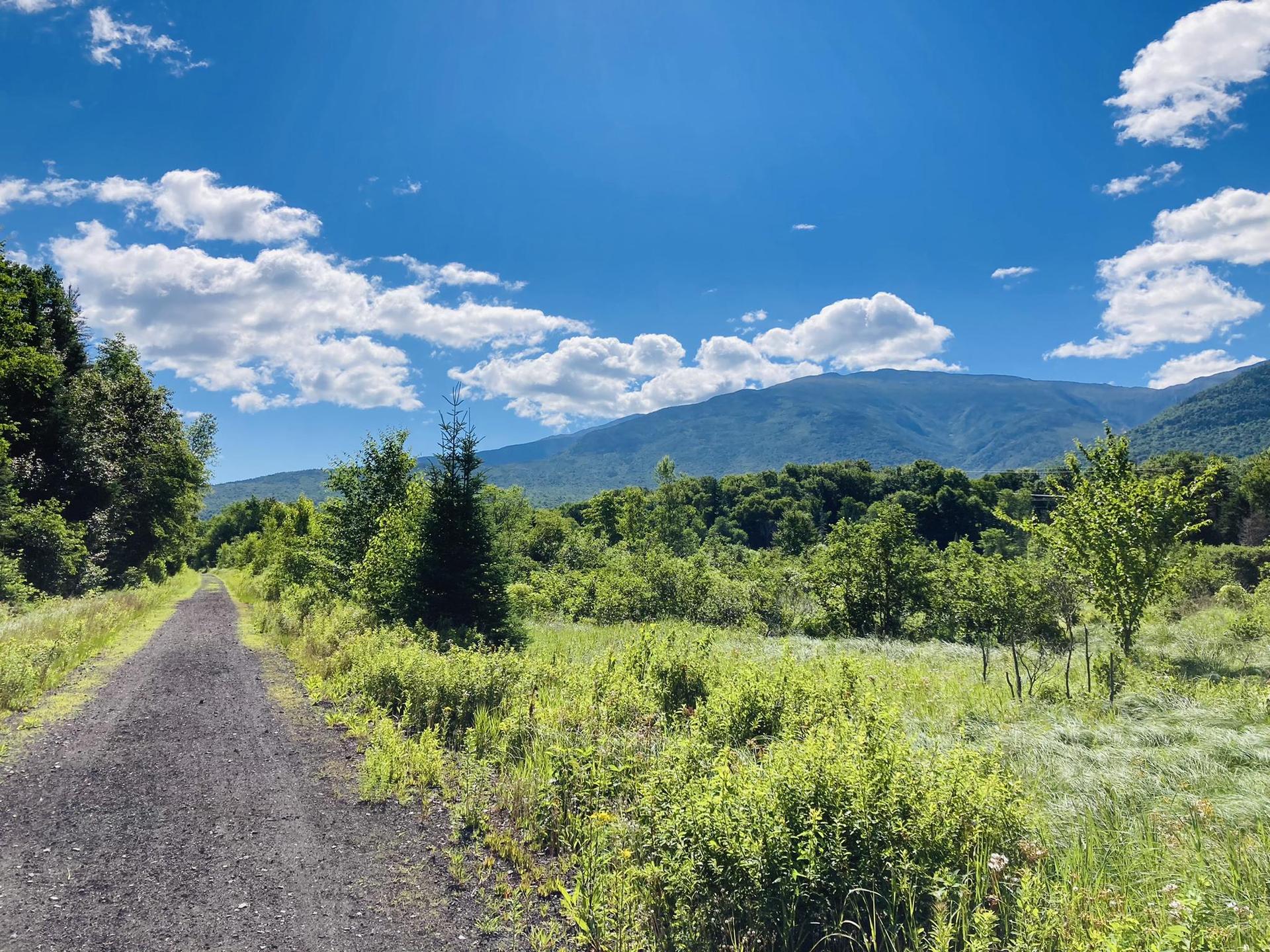 A dirt path through a green field with distant mountains under a bright blue sky.