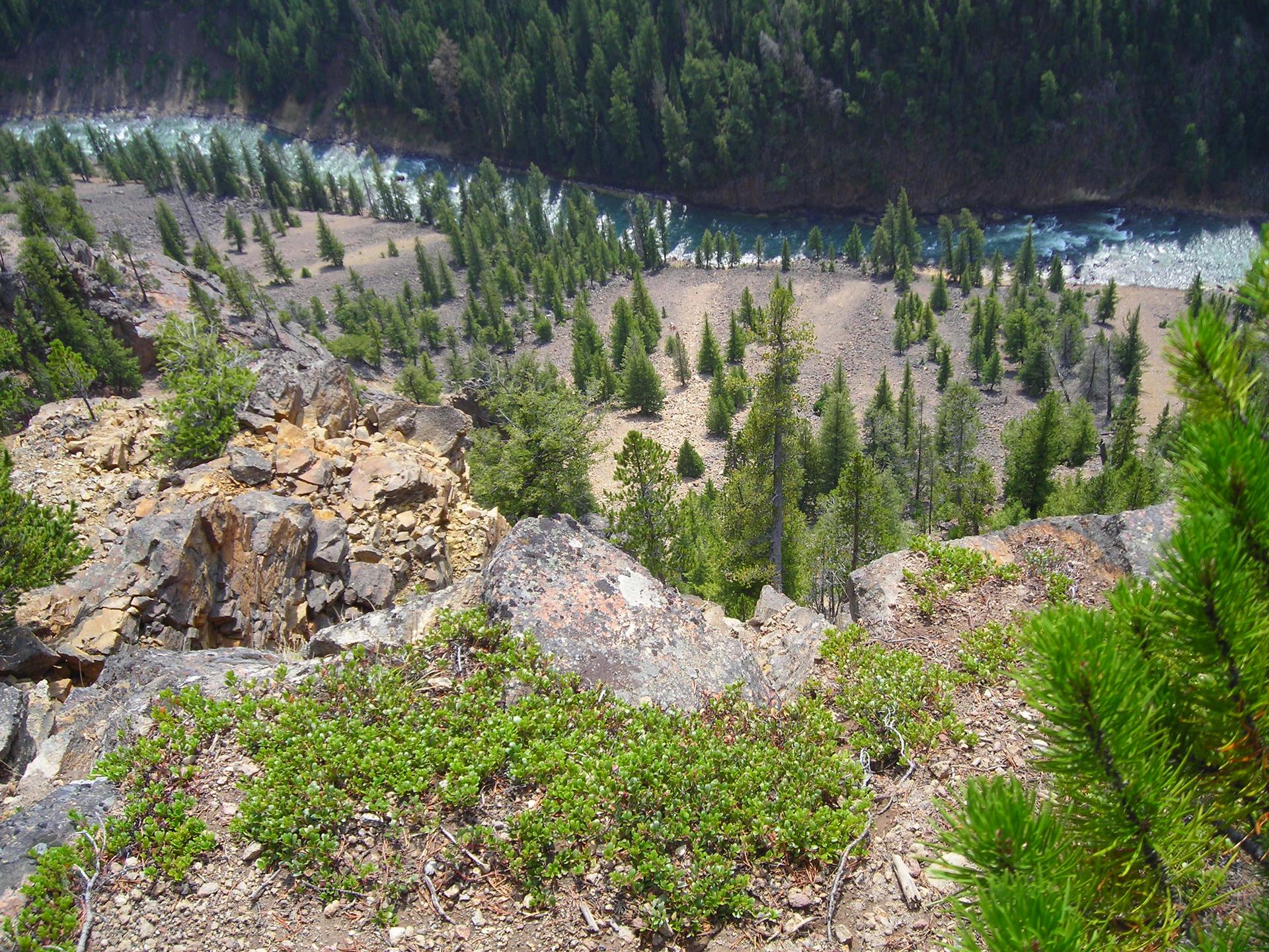 Rocky foreground overlooking a wide river winding through a dense, sunny forest.