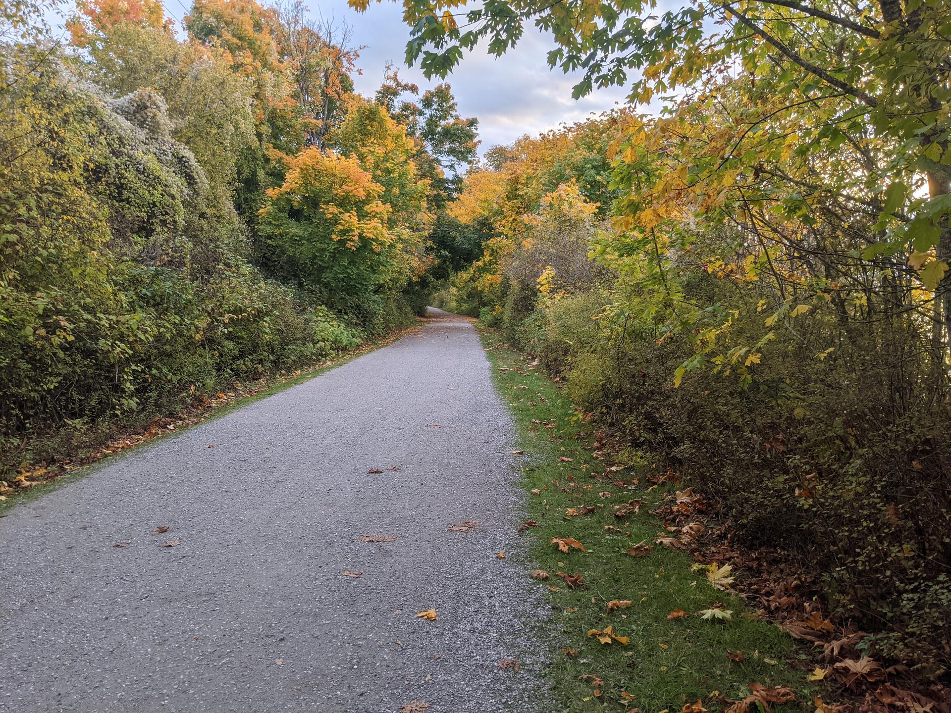 A gravel path winds through vibrant autumn trees under a soft, natural light.