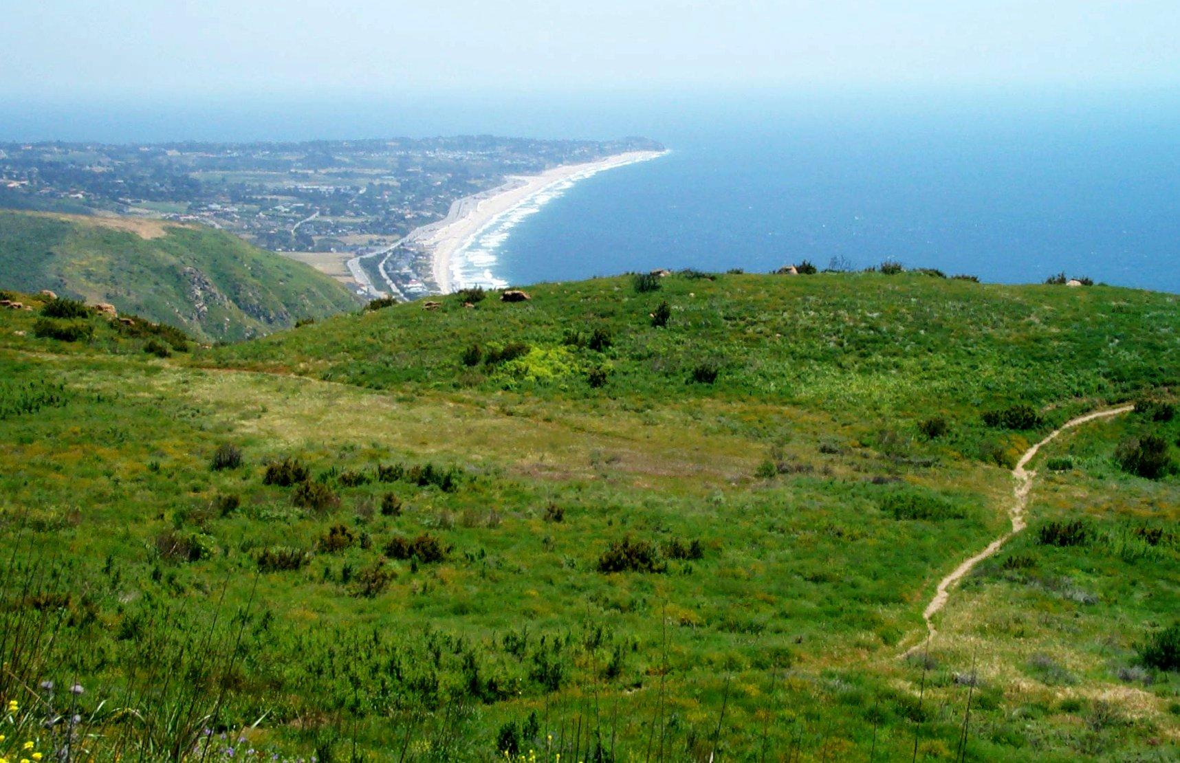 Vast green hills with a winding path overlooking a long beach and ocean.