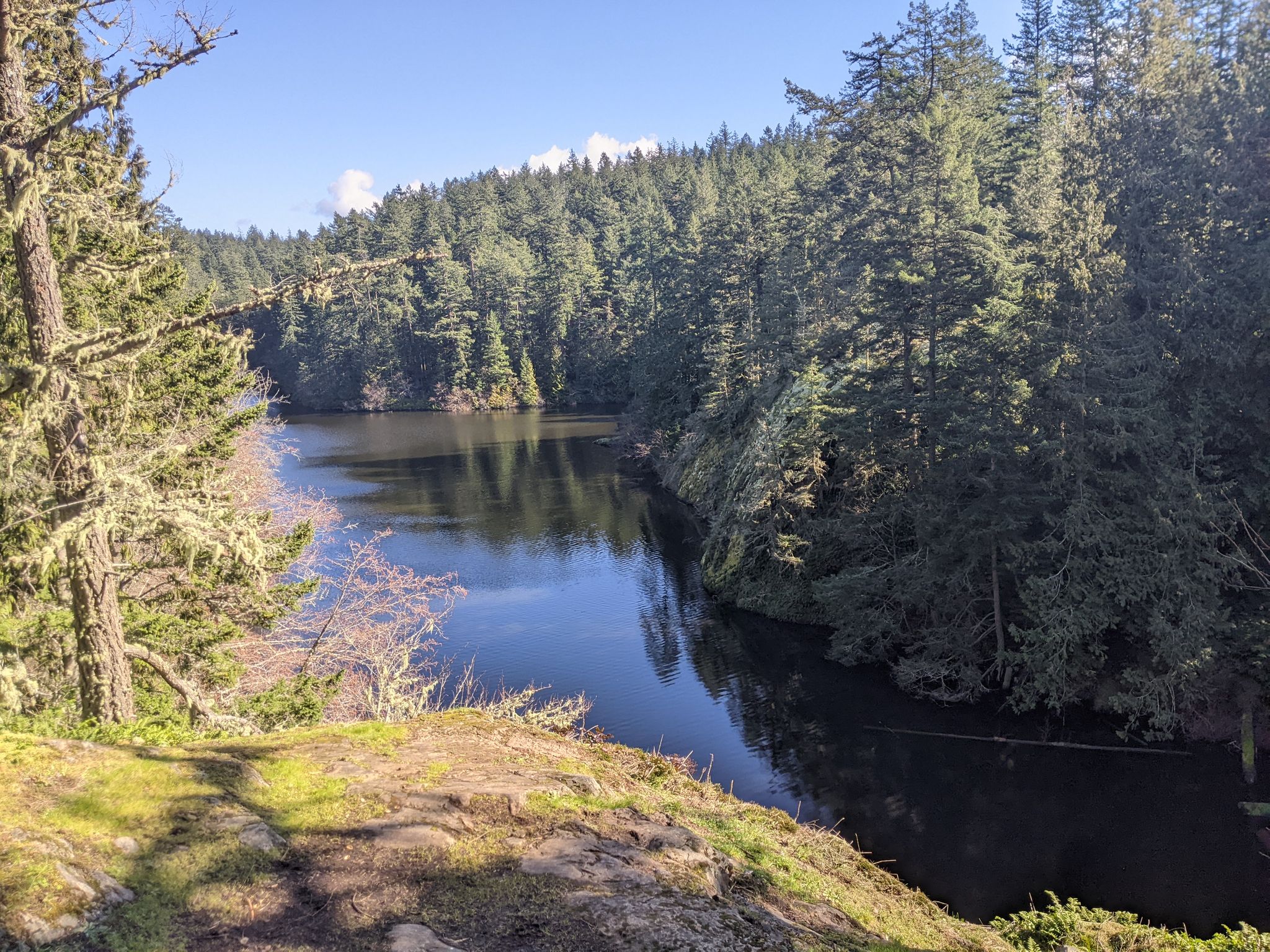 Sunny view of a calm lake surrounded by dense evergreen forest. - Mount Erie and Whistle Lake Loop