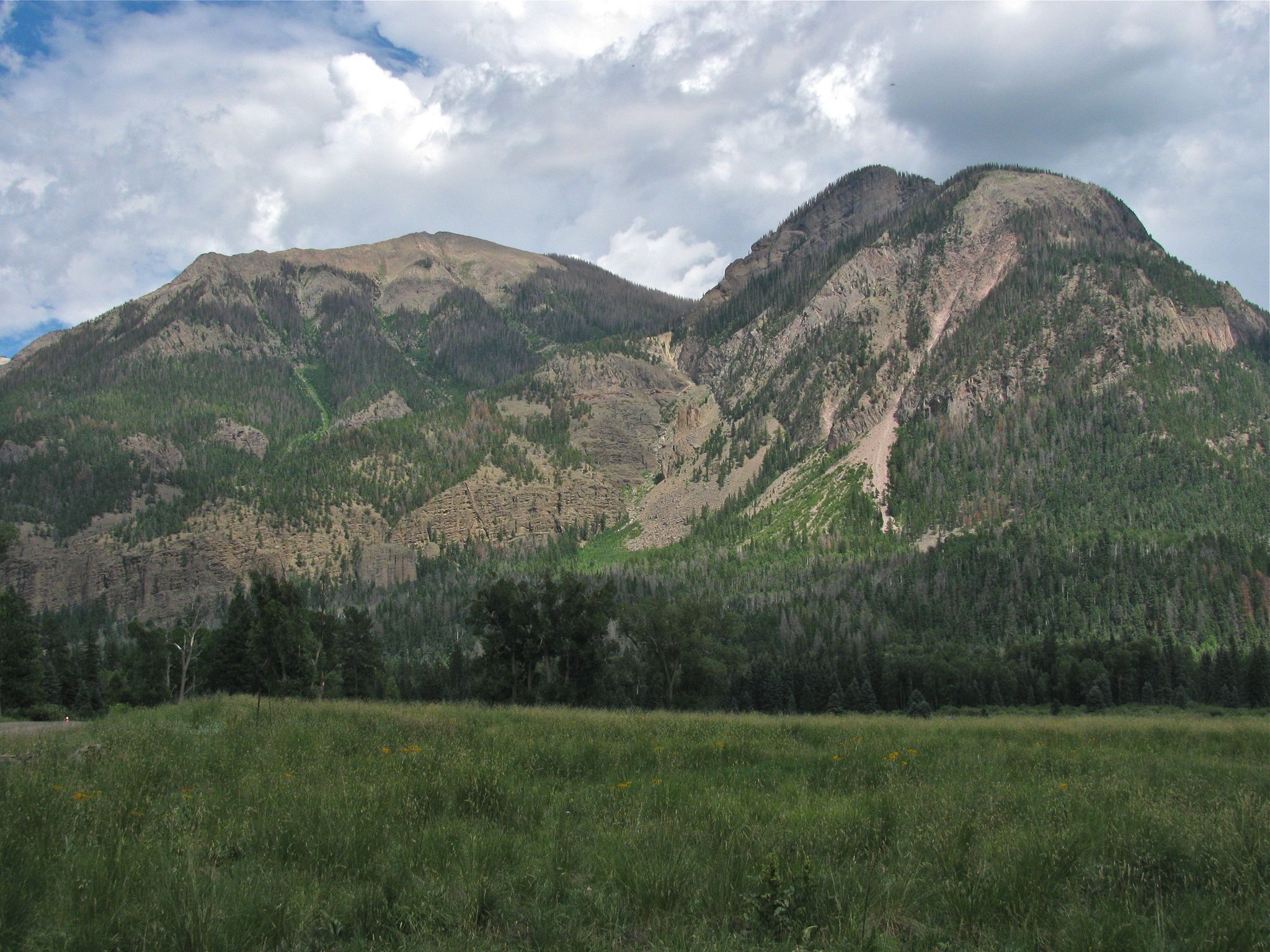 Grassy field leading to forested mountains under a partly cloudy sky. - Cimarrona Trail #586