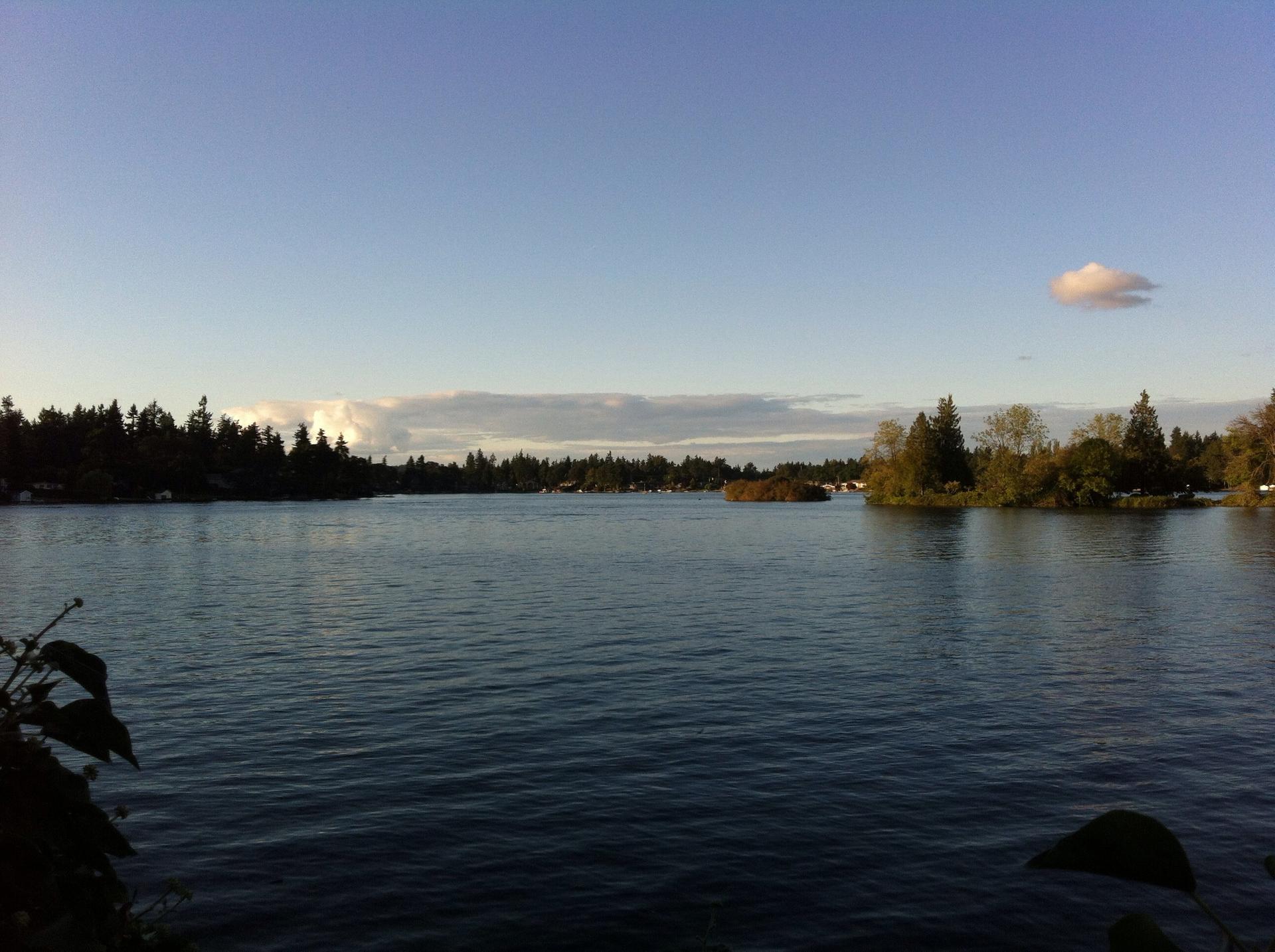 Calm lake surrounded by dense green trees under a clear blue sky.