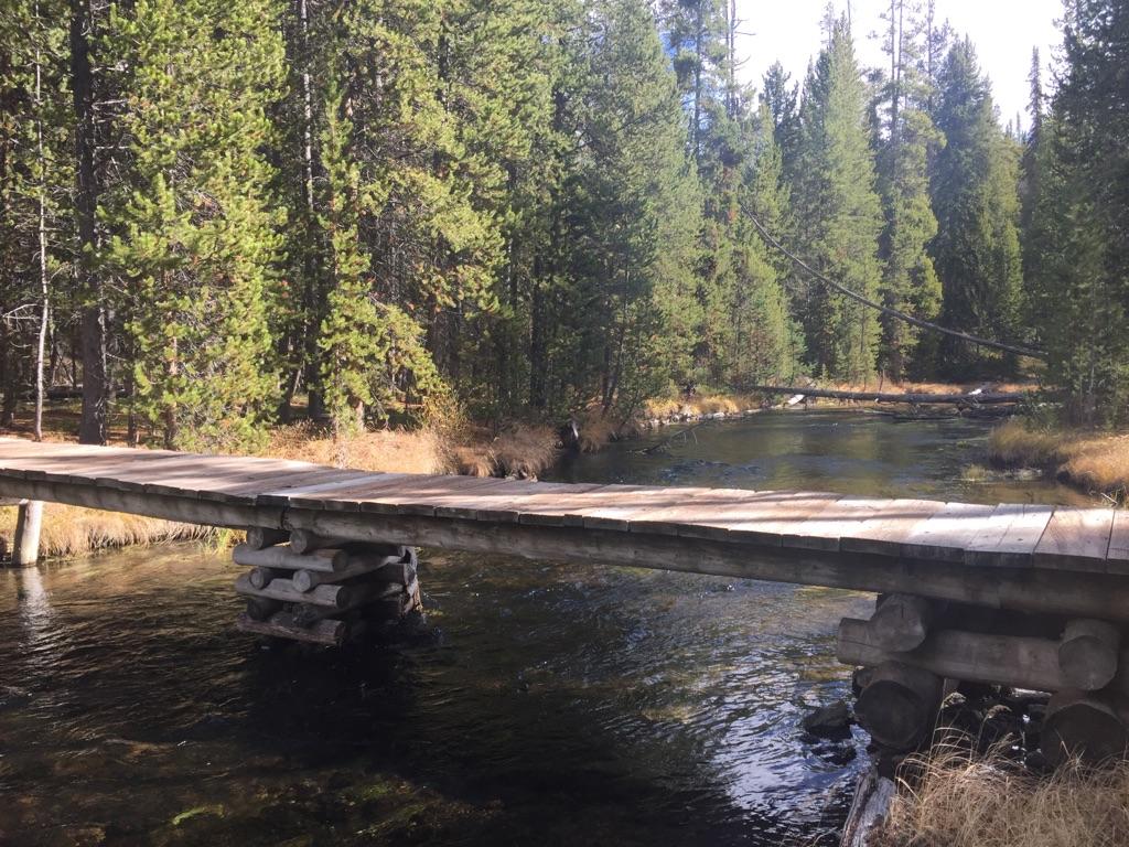 Wooden bridge crosses a clear river, surrounded by dense green pine forest.