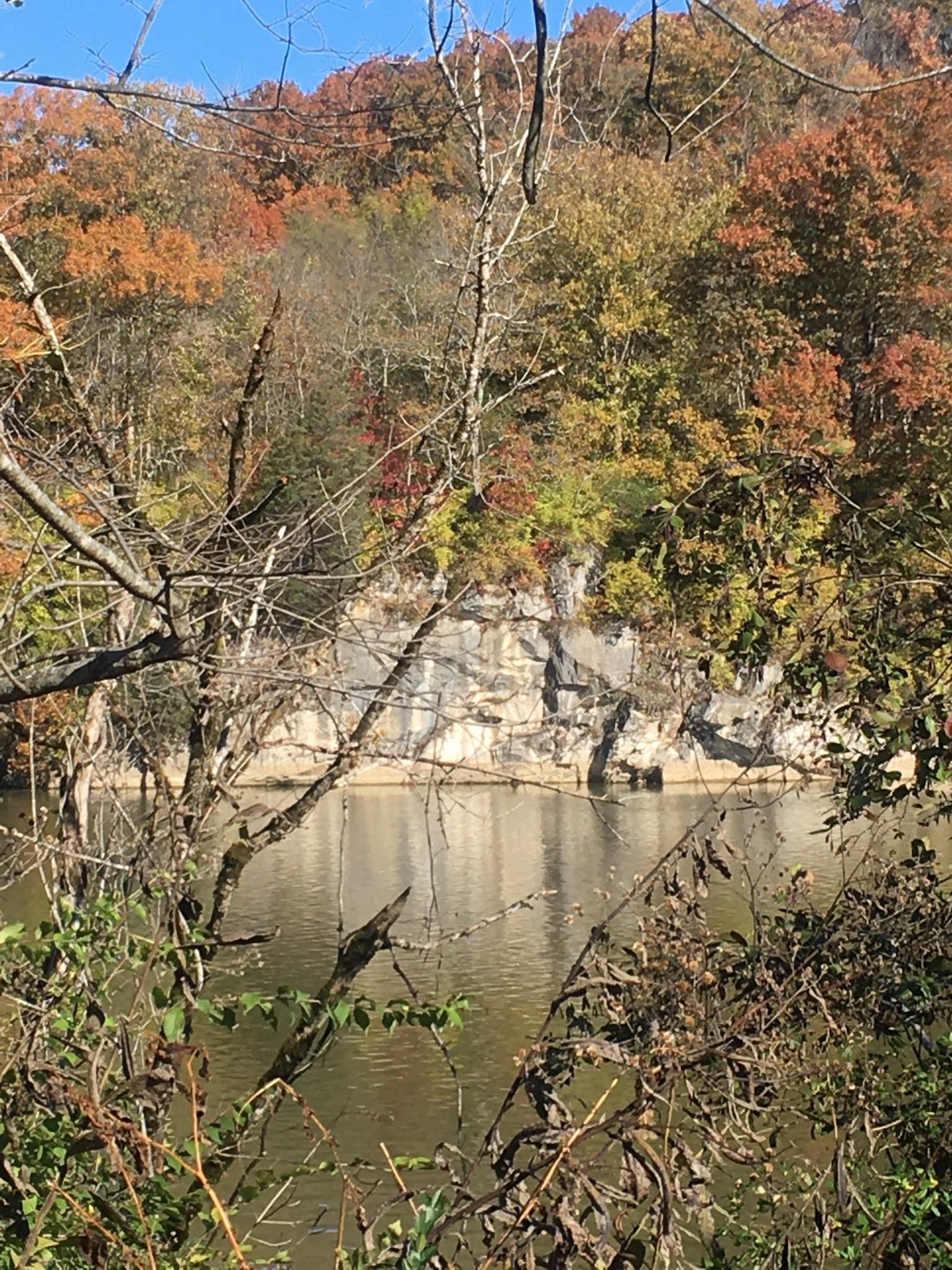 Sunny autumn scene with a river, rocky cliff, and colorful trees. - Knoxville Urban Wilderness South Loop