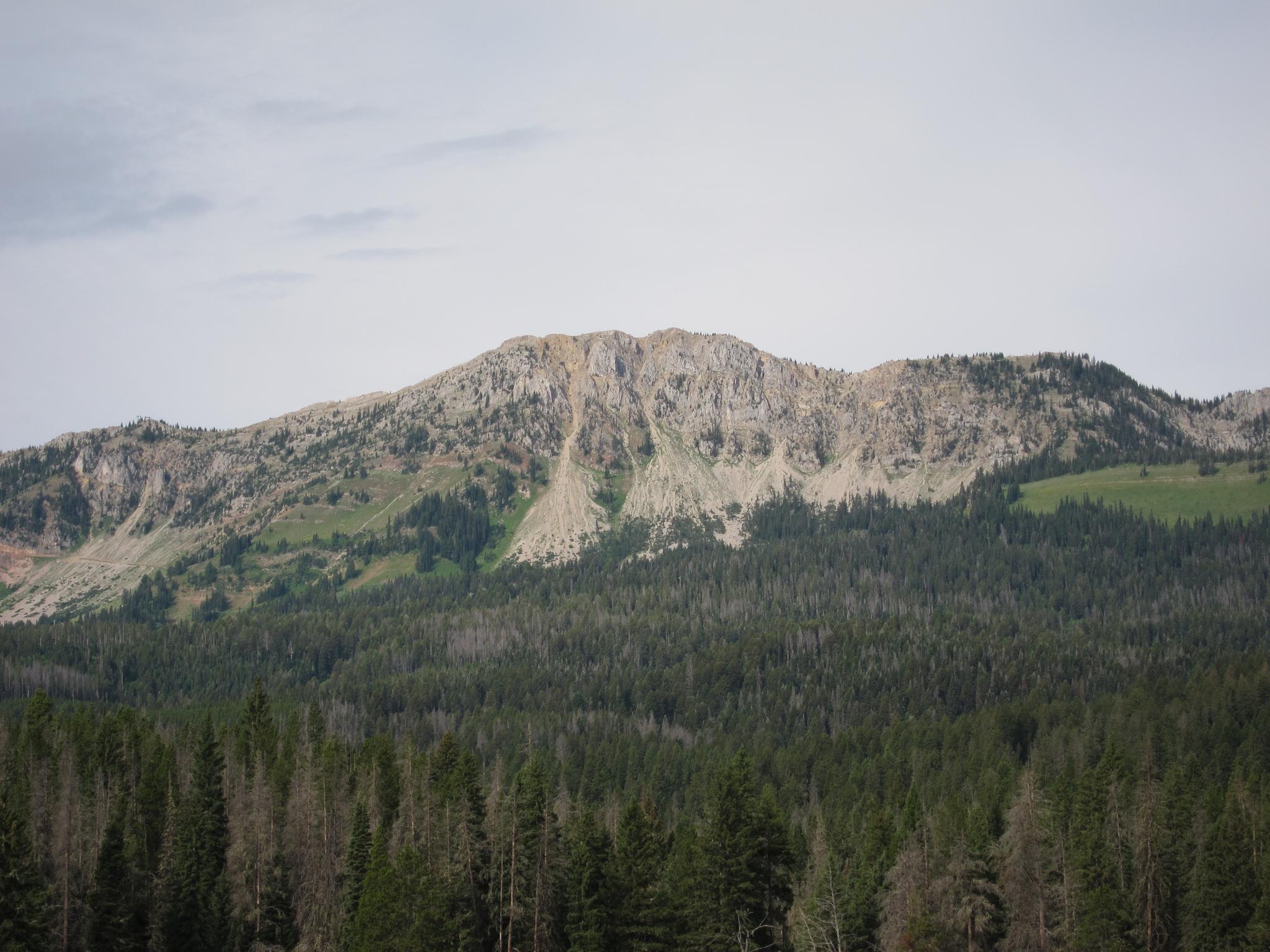 Rocky mountain peak rises above a dense evergreen forest under an overcast sky.
