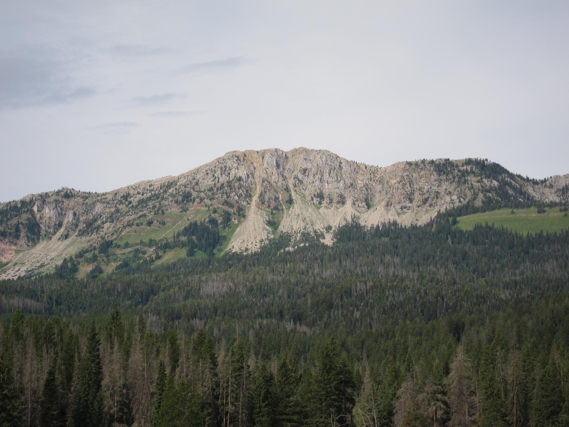 Rocky mountain peak rises above a dense evergreen forest under an overcast sky.
