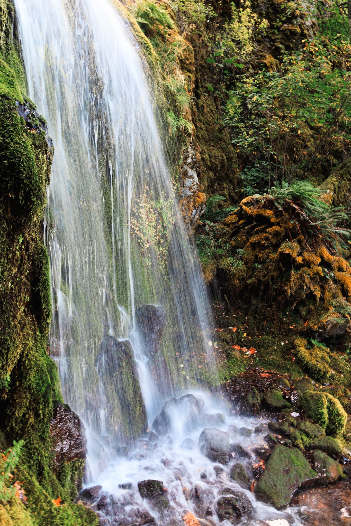 Clear waterfall plunges down a mossy cliff into a rocky stream. - Historic Columbia River Highway State Trail