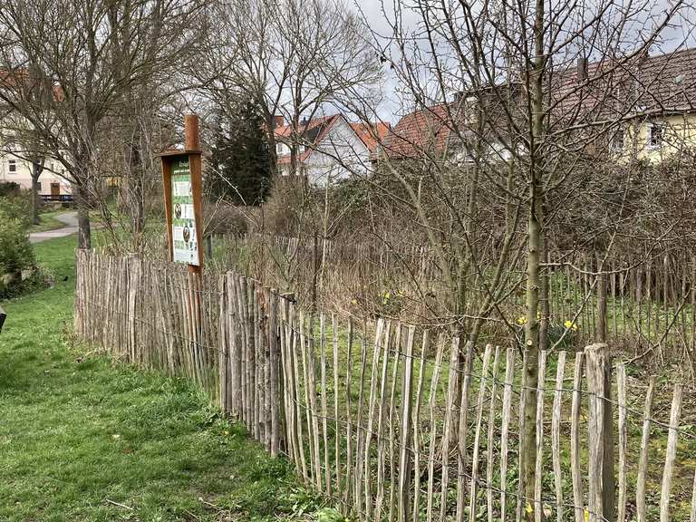 Botanischer Garten 🌱 & Spielplatz 🏃‍♀️🏃 Radtouren und Radwege komoot