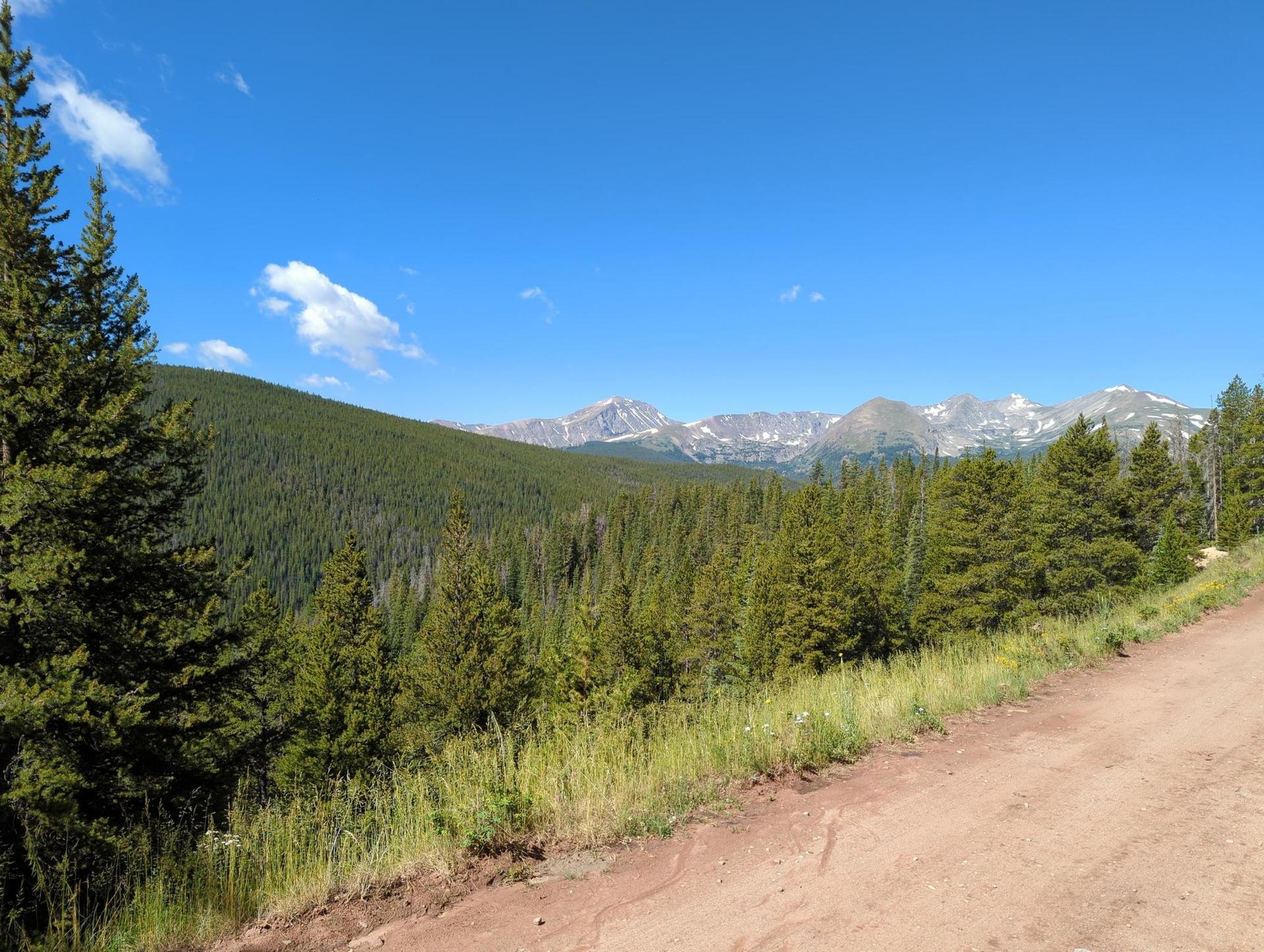 Sunny mountain landscape with pine forests, distant peaks, and a dirt road.