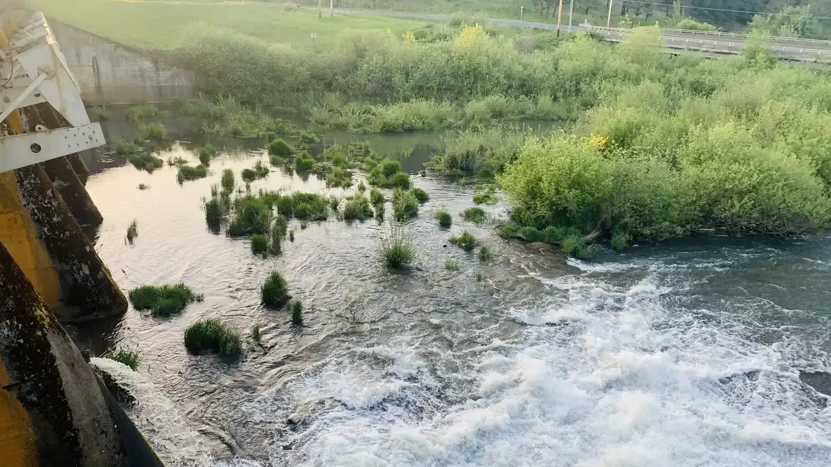 River flowing past a concrete dam and green banks in soft light.