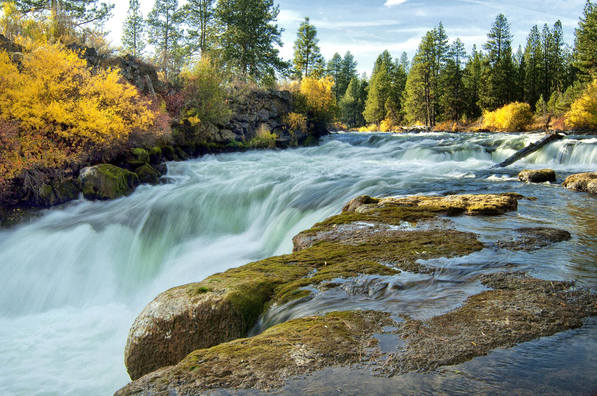 Powerful river cascades over mossy rocks, surrounded by vibrant autumn trees.