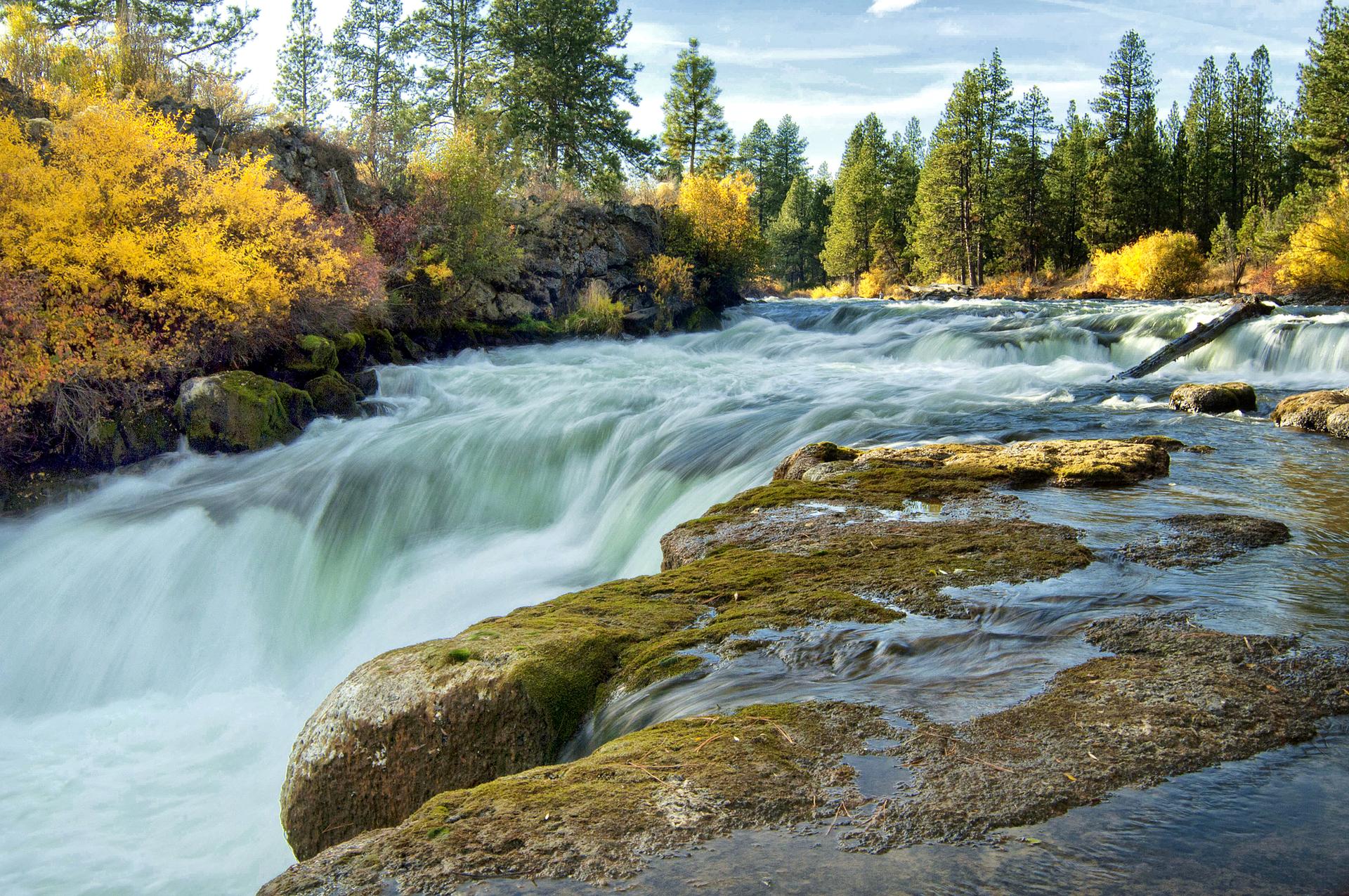Powerful river cascades over mossy rocks, surrounded by vibrant autumn trees.