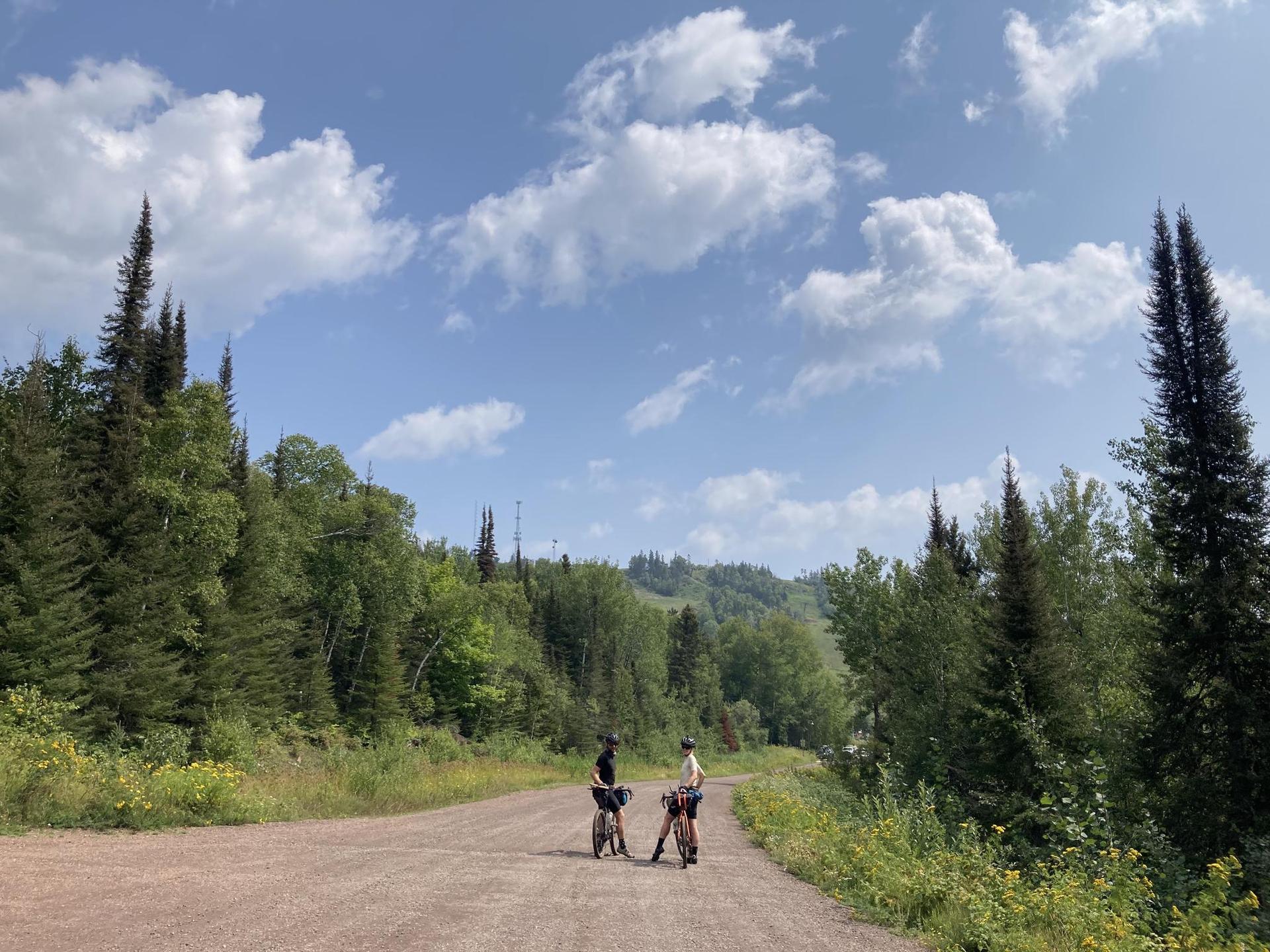 Two cyclists stand with bikes on a gravel road through a forest.