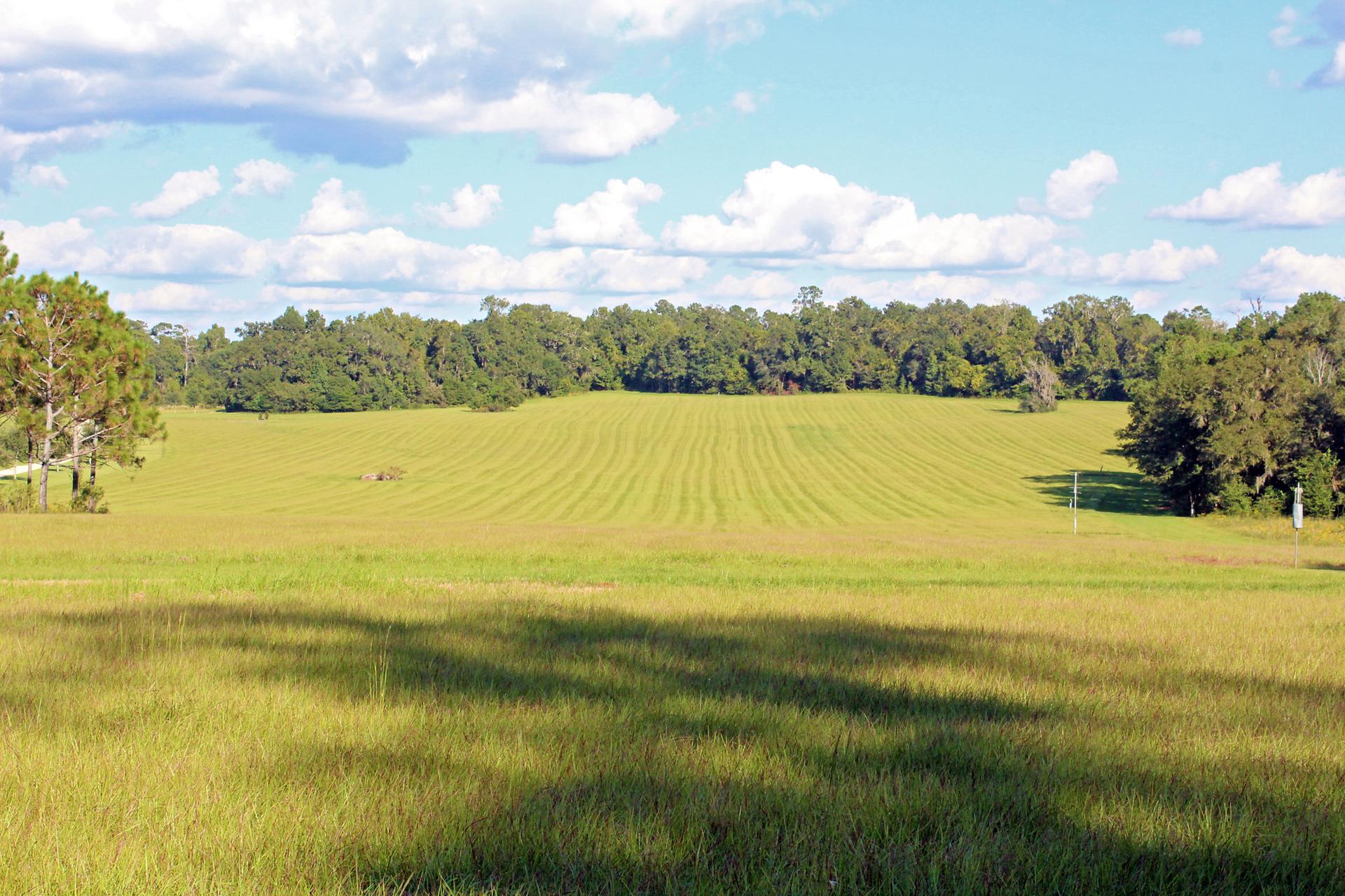 Bright green field with mown patterns, surrounded by trees under a cloudy sky.