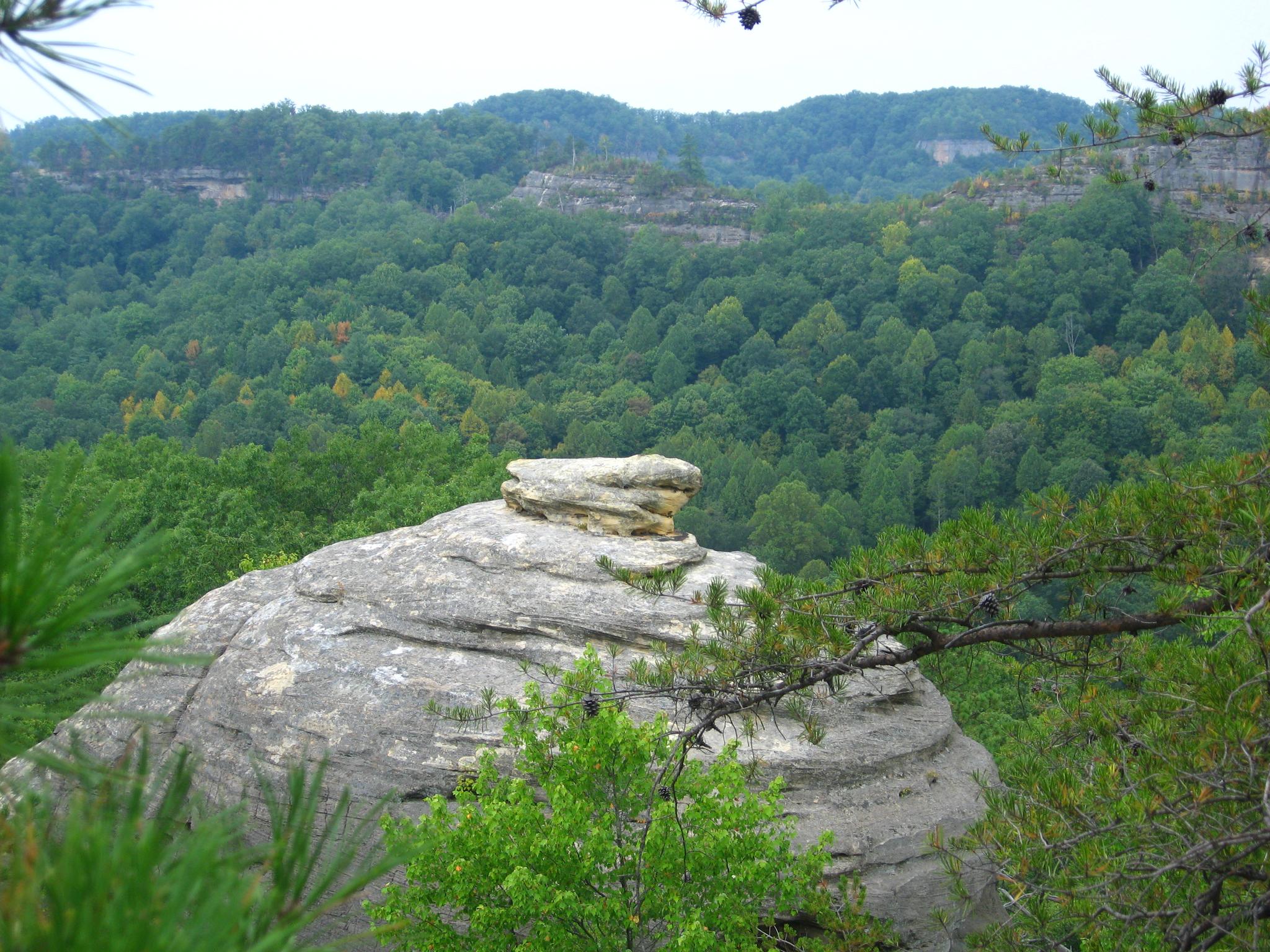A large rock in the foreground overlooks a dense green forest and distant hills.