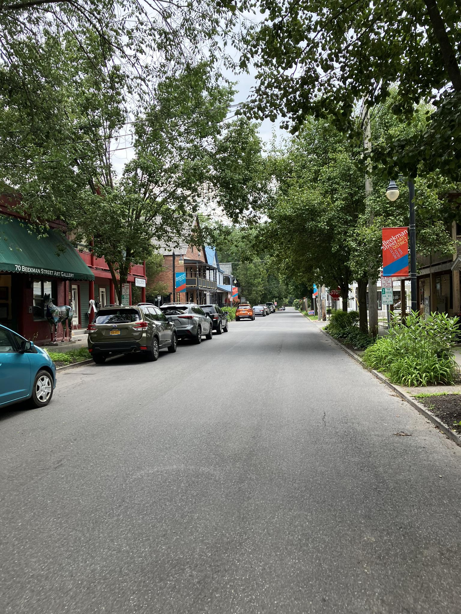 Sunny street lined with parked cars, buildings, and green trees overhead.