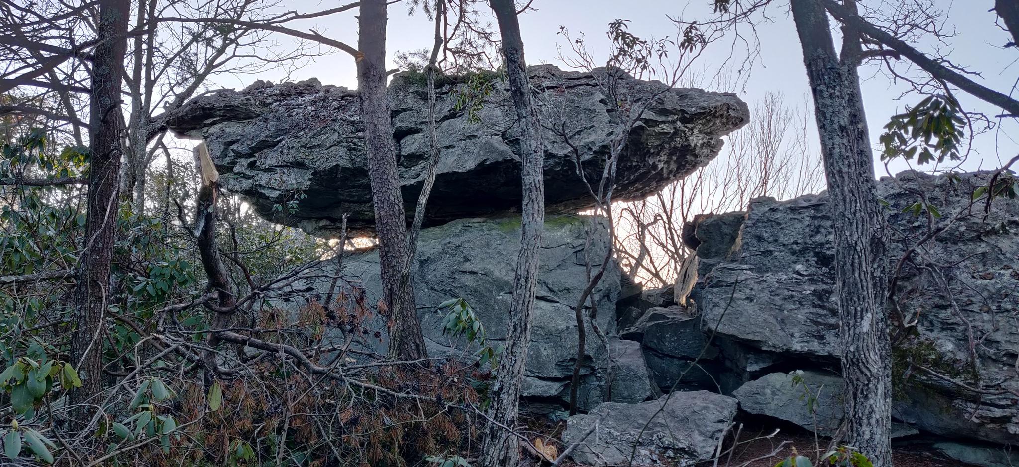 Large, layered rock formations surrounded by bare trees in soft light.