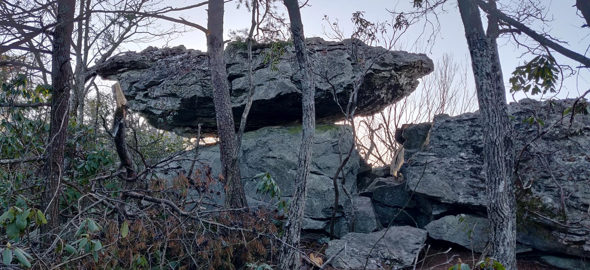 Large, layered rock formations surrounded by bare trees in soft light.
