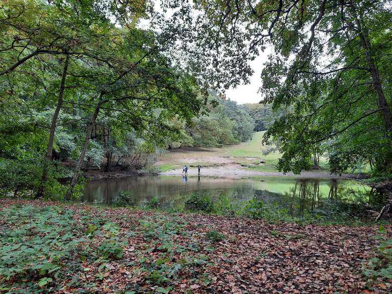 Am Kösterbecker See Wanderungen und Rundwege komoot
