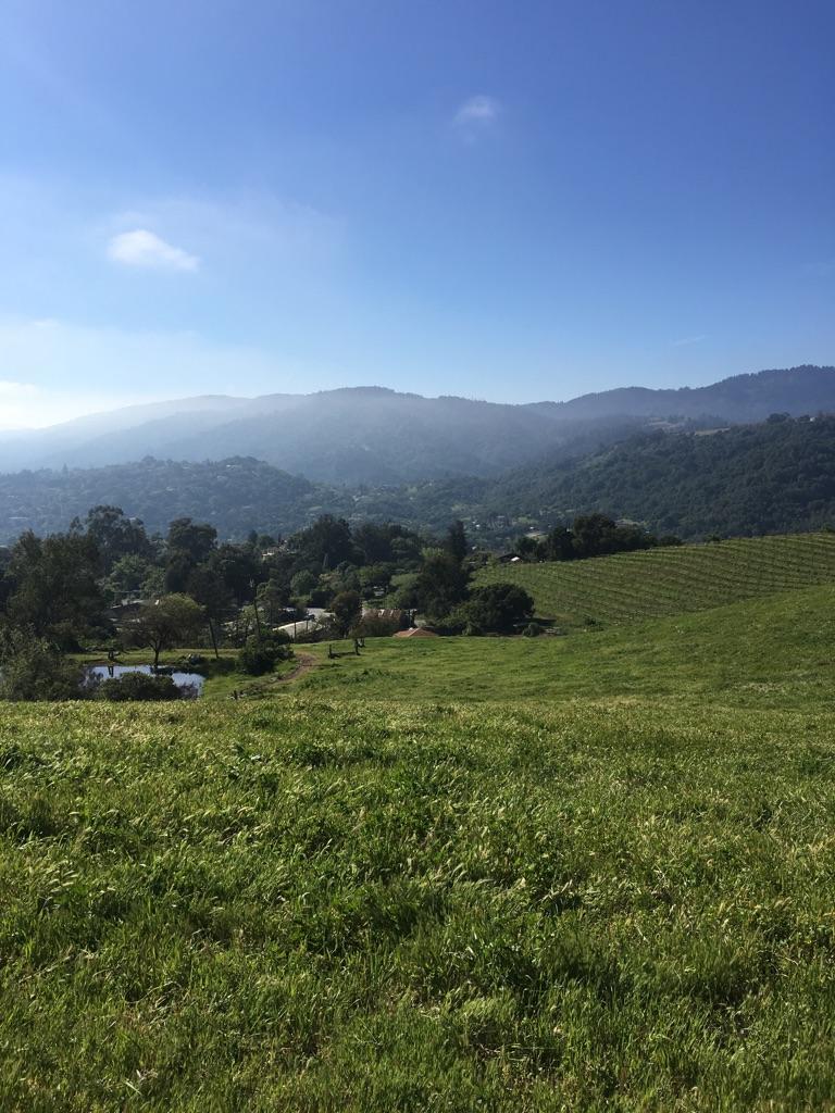 Bright green hillside overlooking a hazy valley with distant mountains under a blue sky.