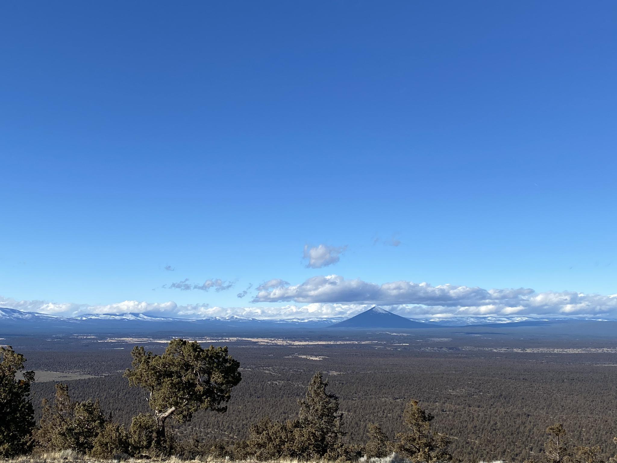 Expansive view of a dark forest plain and distant snow-capped mountains under a blue sky.