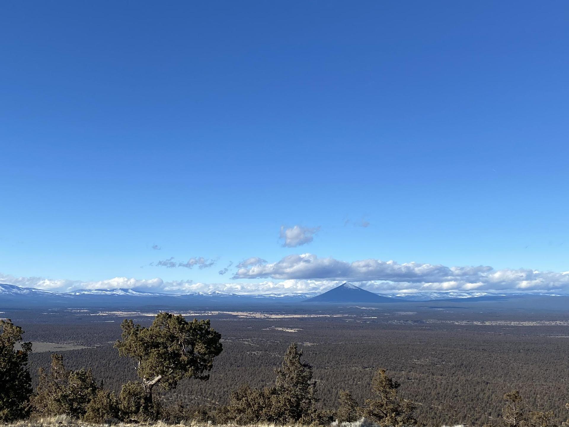 Expansive view of a dark forest plain and distant snow-capped mountains under a blue sky.