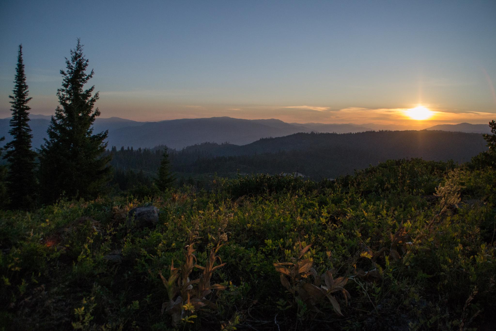 Golden sunset over forested mountains with lush green foreground.