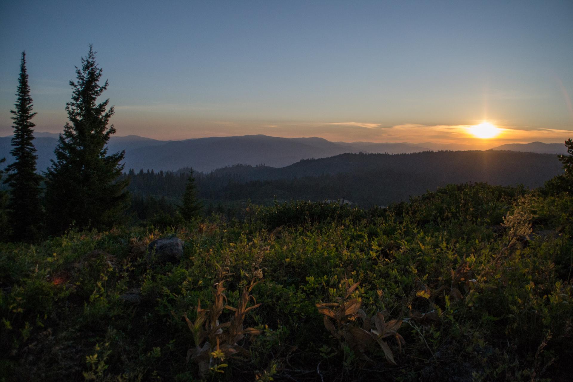 Golden sunset over forested mountains with lush green foreground.