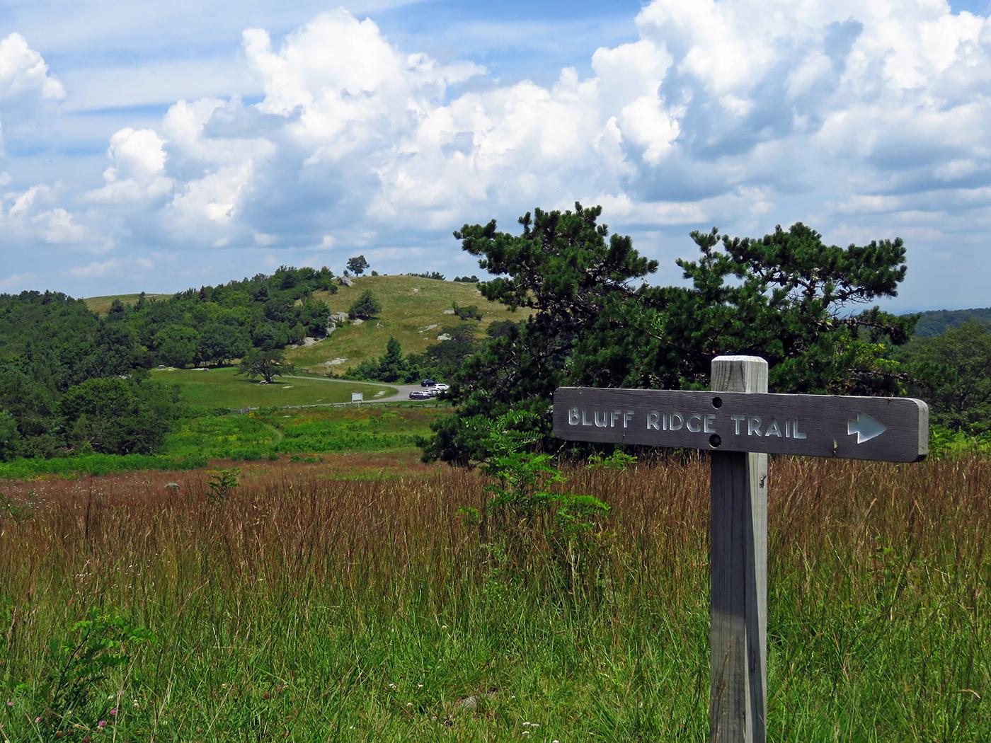 A wooden trail sign in a sunny, grassy, hilly landscape with clouds.