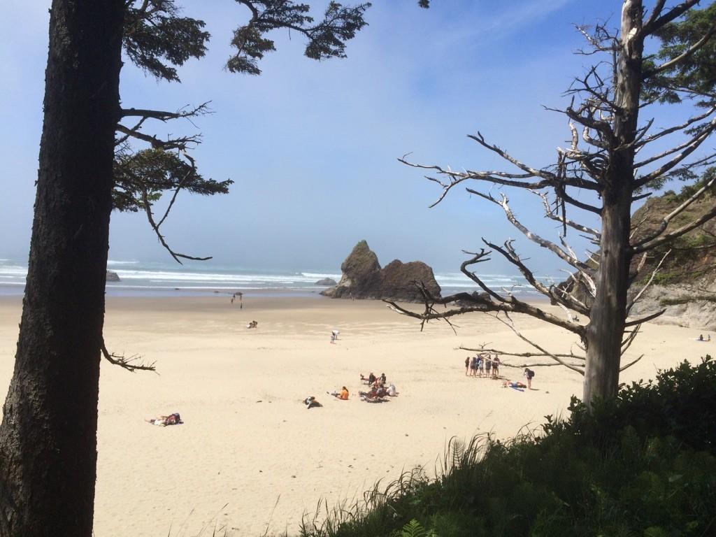 Sunny beach scene with people, a sea stack, and trees framing the view.