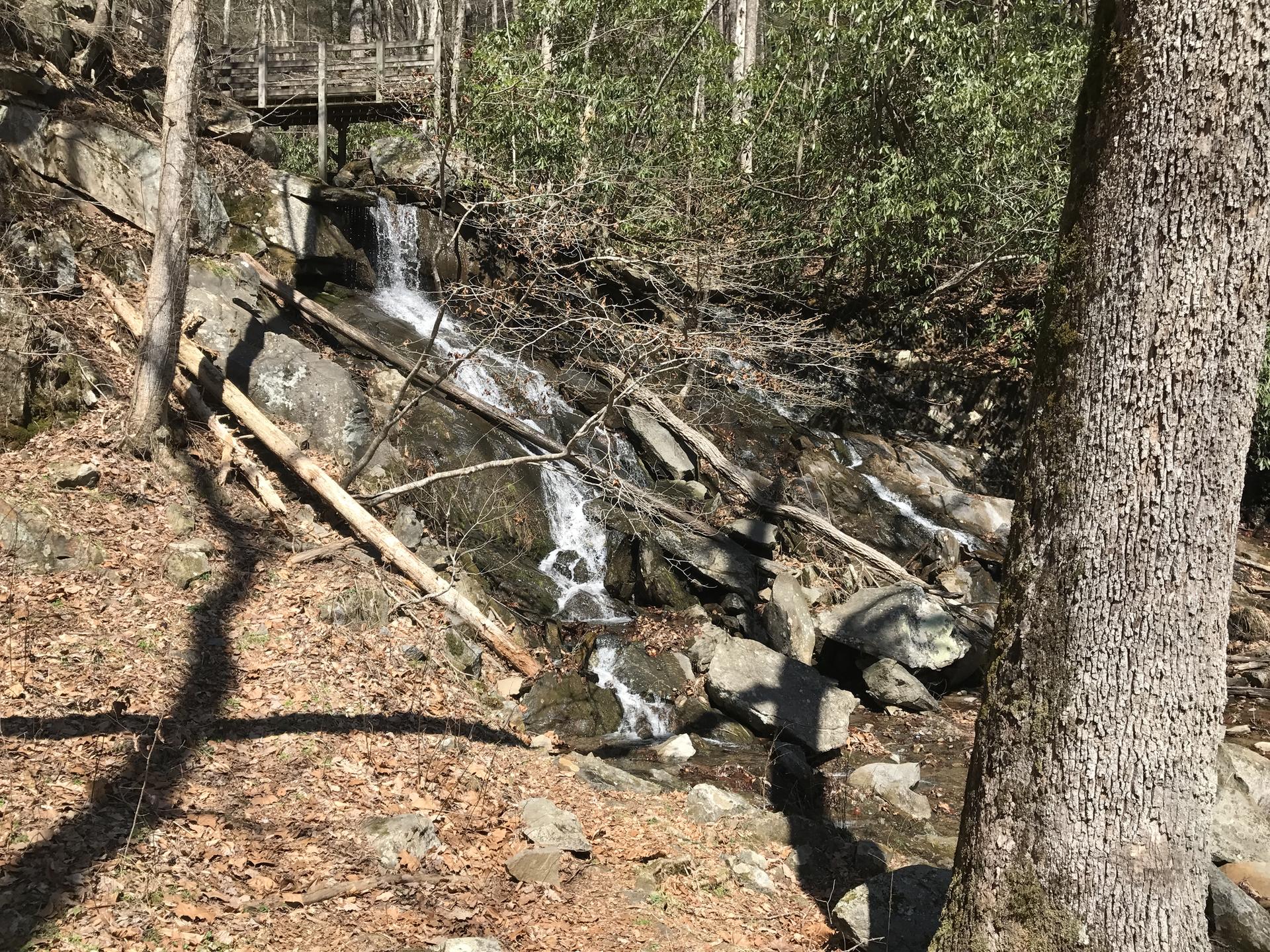 Sunny forest waterfall cascading over rocks with a wooden bridge above.