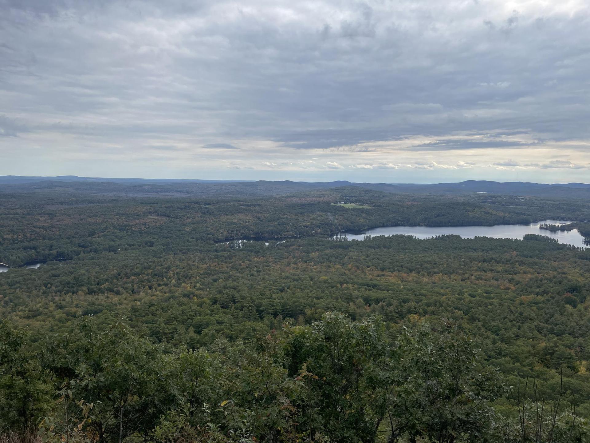 Overhead view of vast green forests and lakes under a cloudy sky.