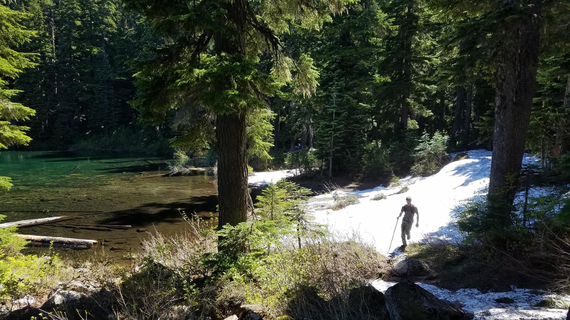 A person hikes on a snowy path next to a clear lake and dense forest.
