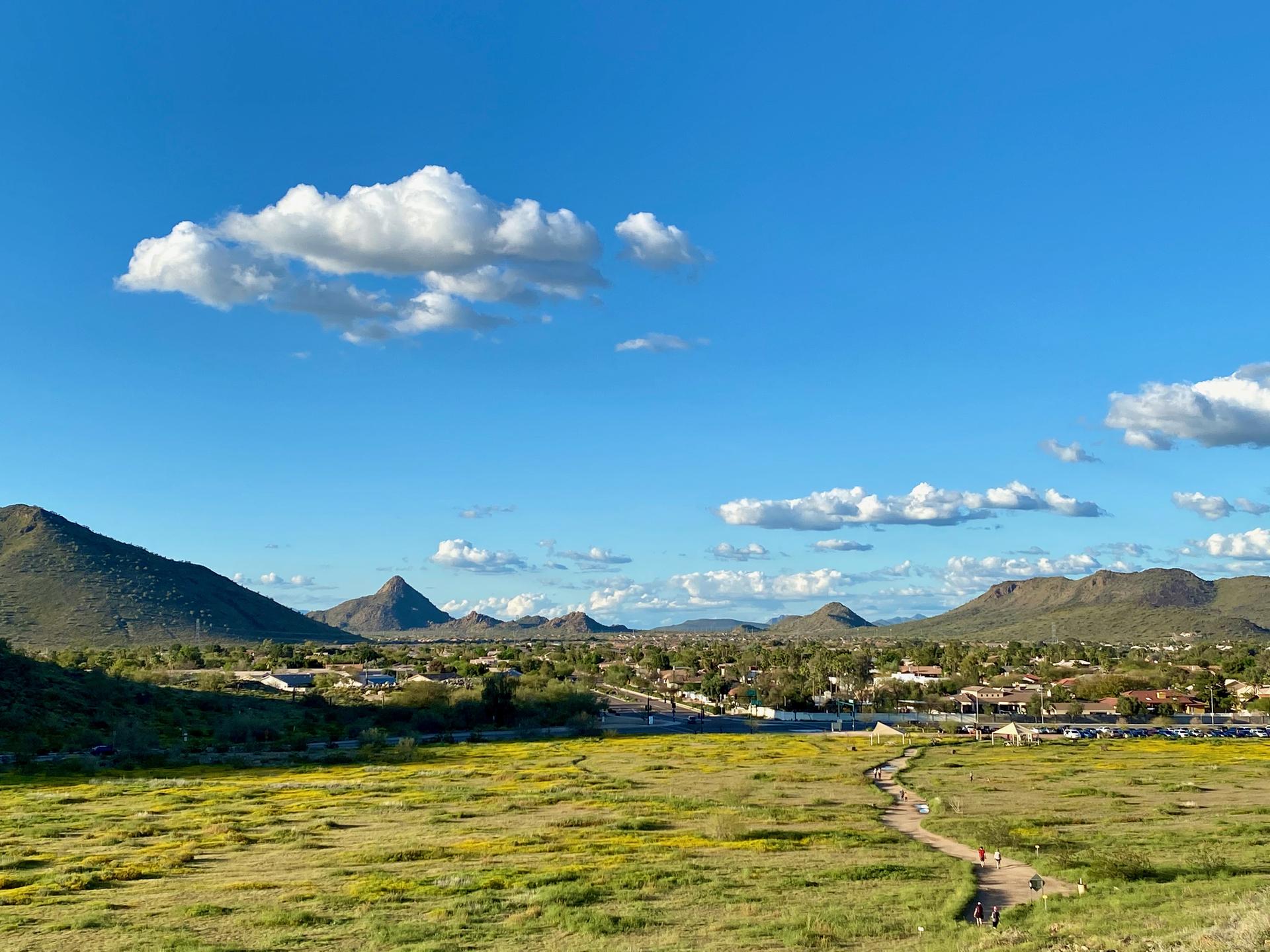 Sunny view of green fields, distant mountains, and a residential area.