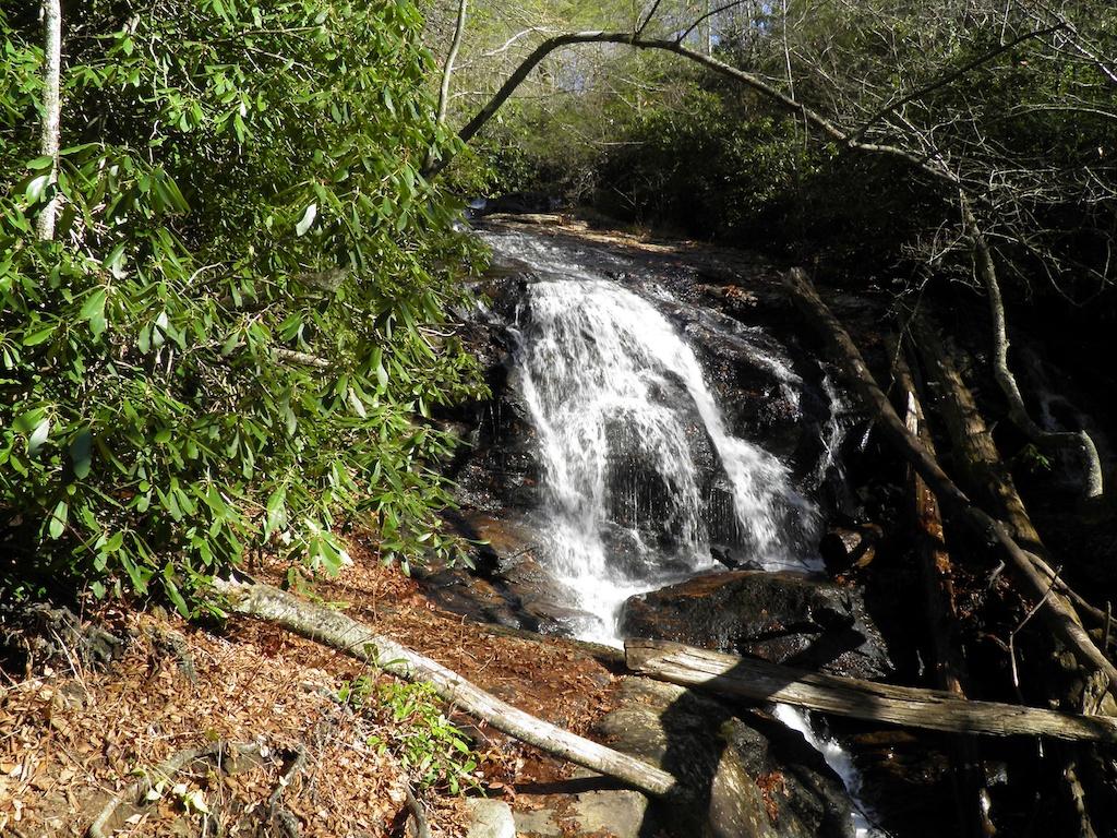 A sunlit waterfall cascades over rocks, surrounded by green trees and fallen logs.