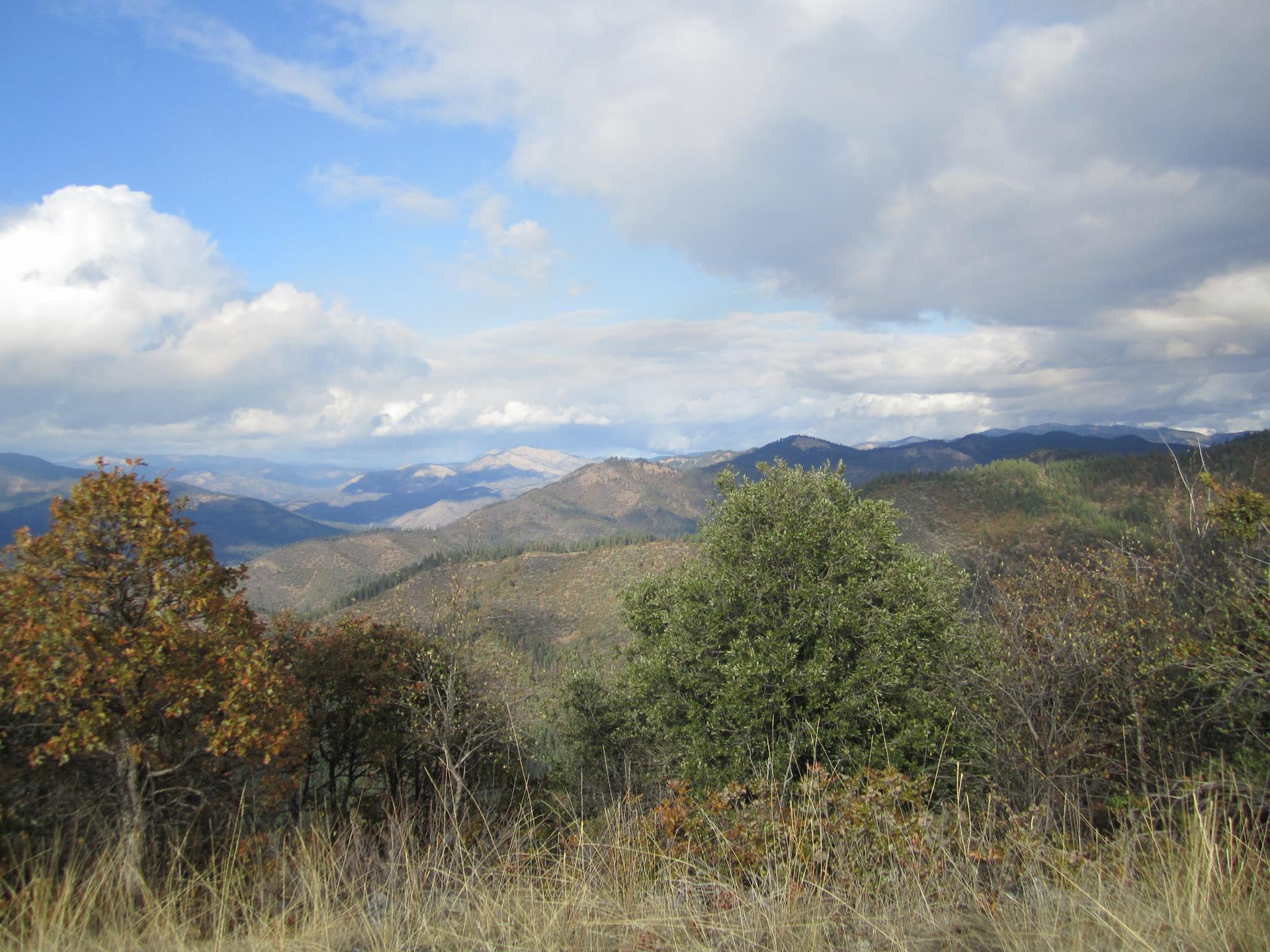 Expansive mountain landscape under a partly cloudy sky with foreground trees and dry grass.