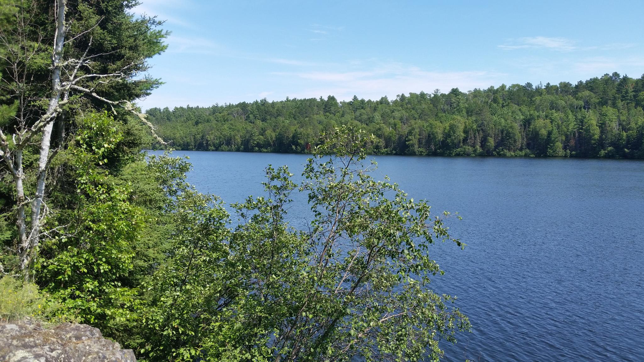 Sunny view of a calm blue lake surrounded by dense green forest.