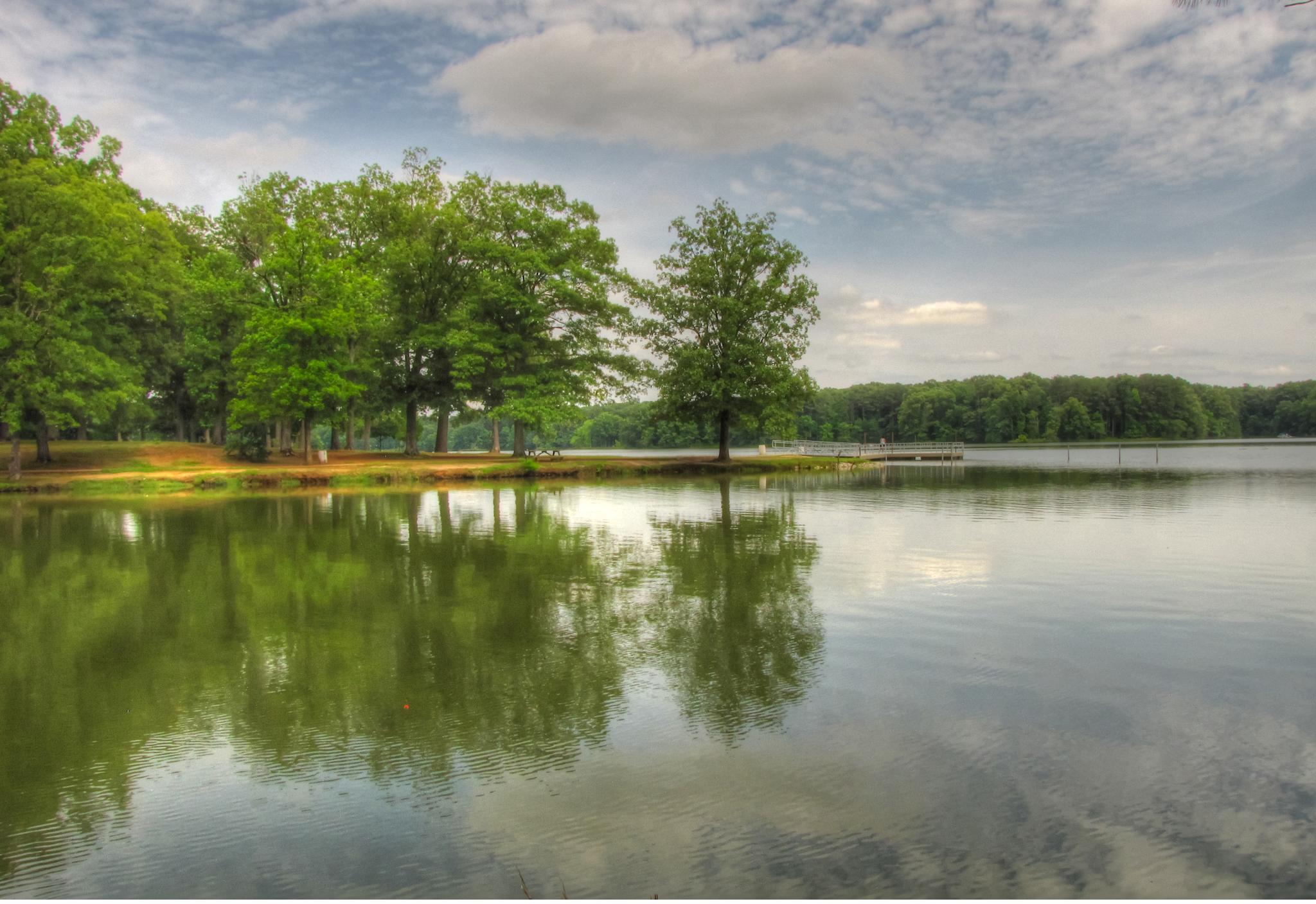 Calm lake reflecting green trees and cloudy sky on a bright day.
