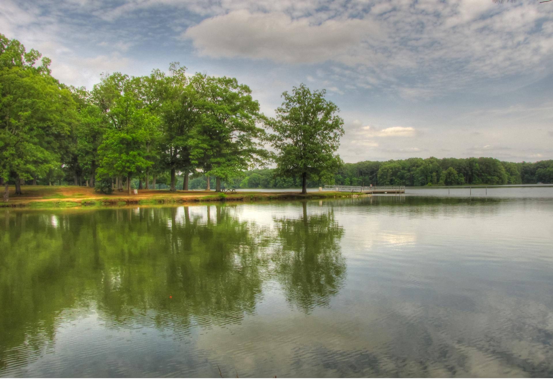 Calm lake reflecting green trees and cloudy sky on a bright day.
