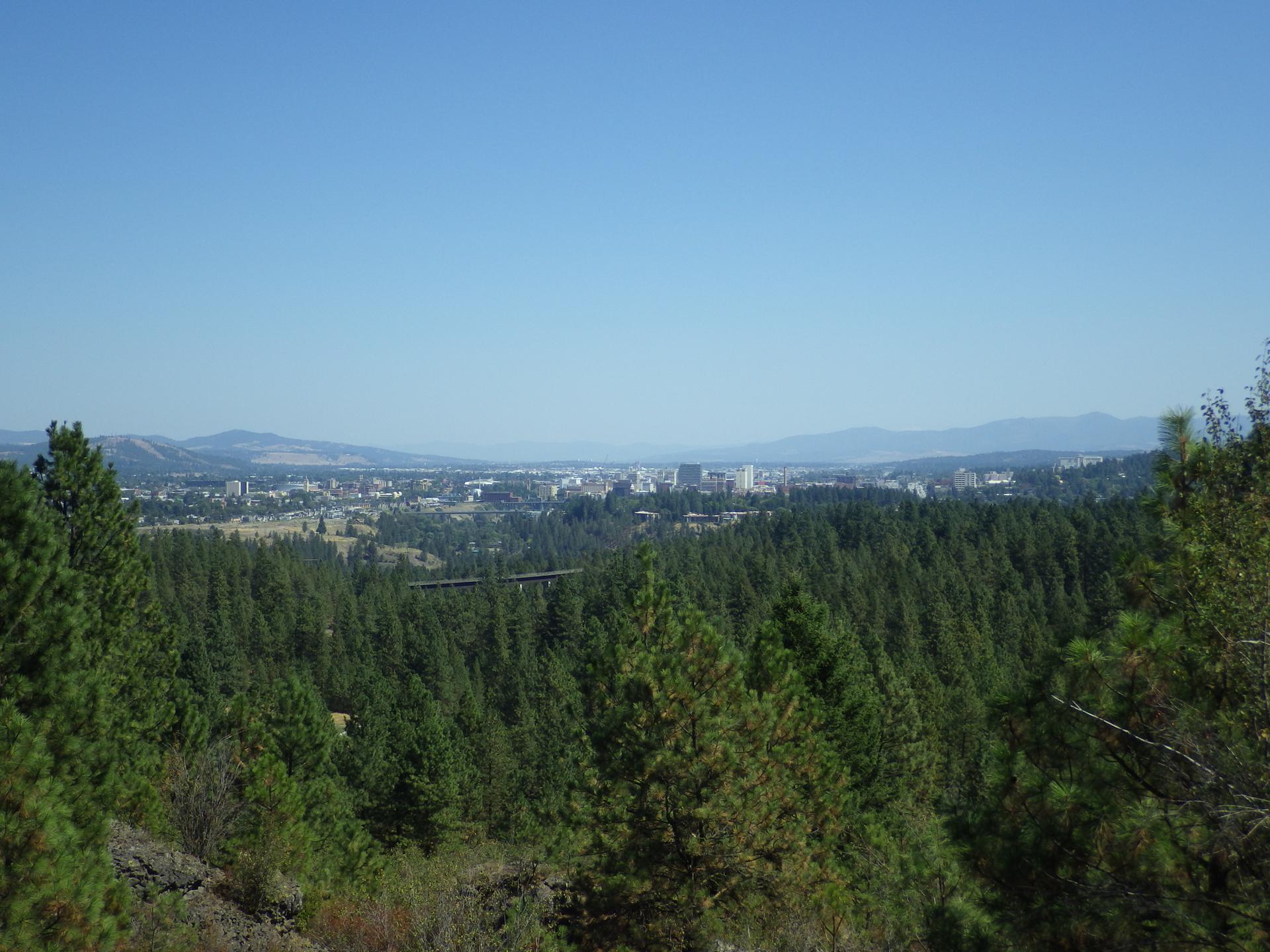 Panoramic view of a distant city beyond a vast green forest on a clear day.